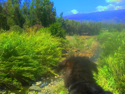 P_20190814_141446_HDR.jpg