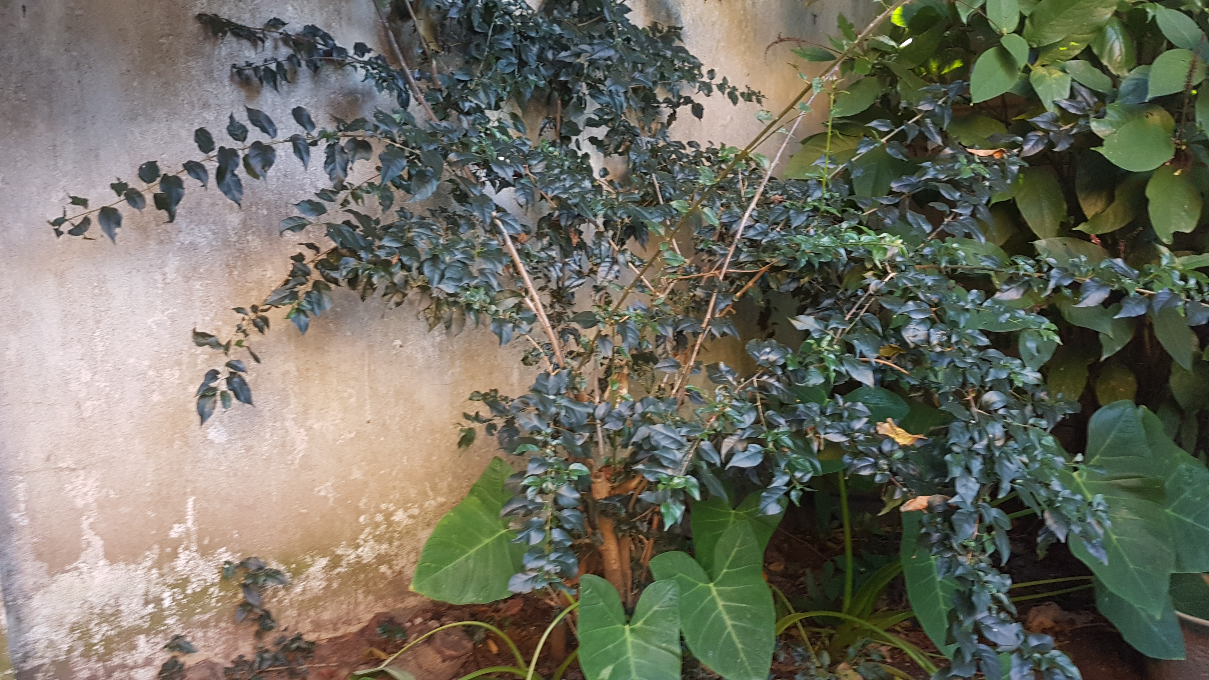20190623_134830.jpg