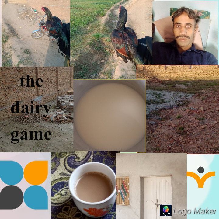 Photo_1716460935370.png