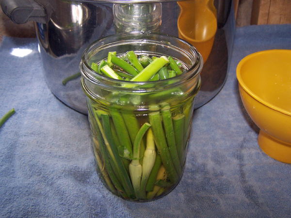 Garlic Scape Pickles - brine added2 crop June 2018.jpg
