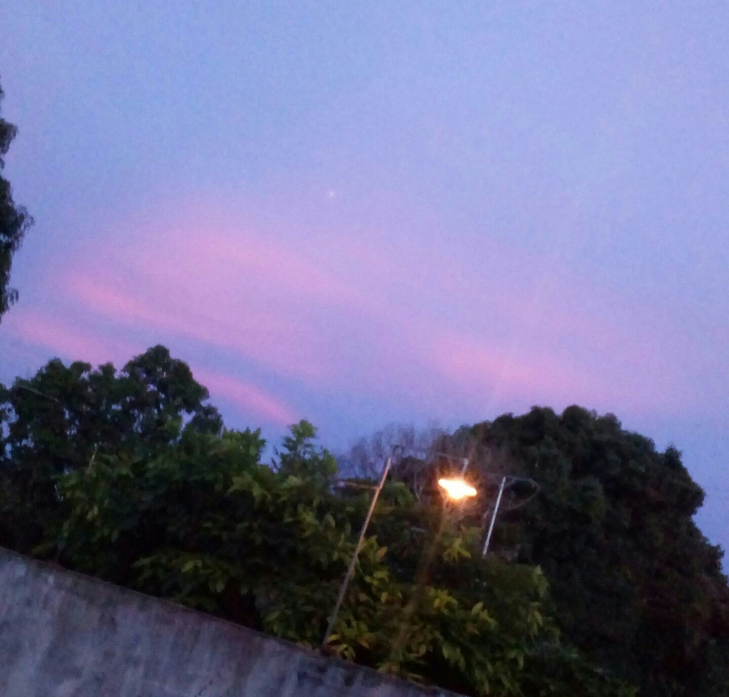 20210813_184158-1.jpg
