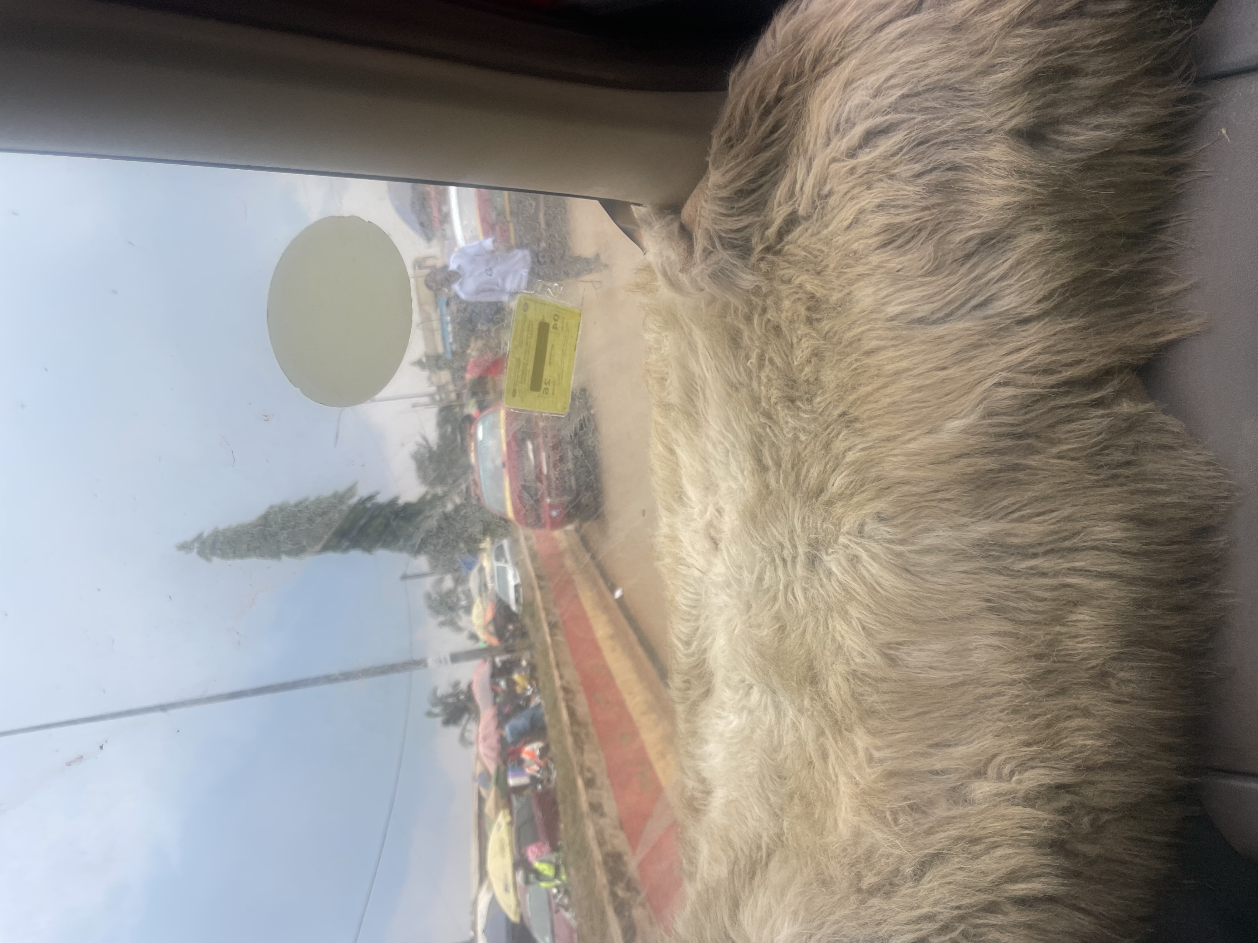 IMG_6904.jpeg
