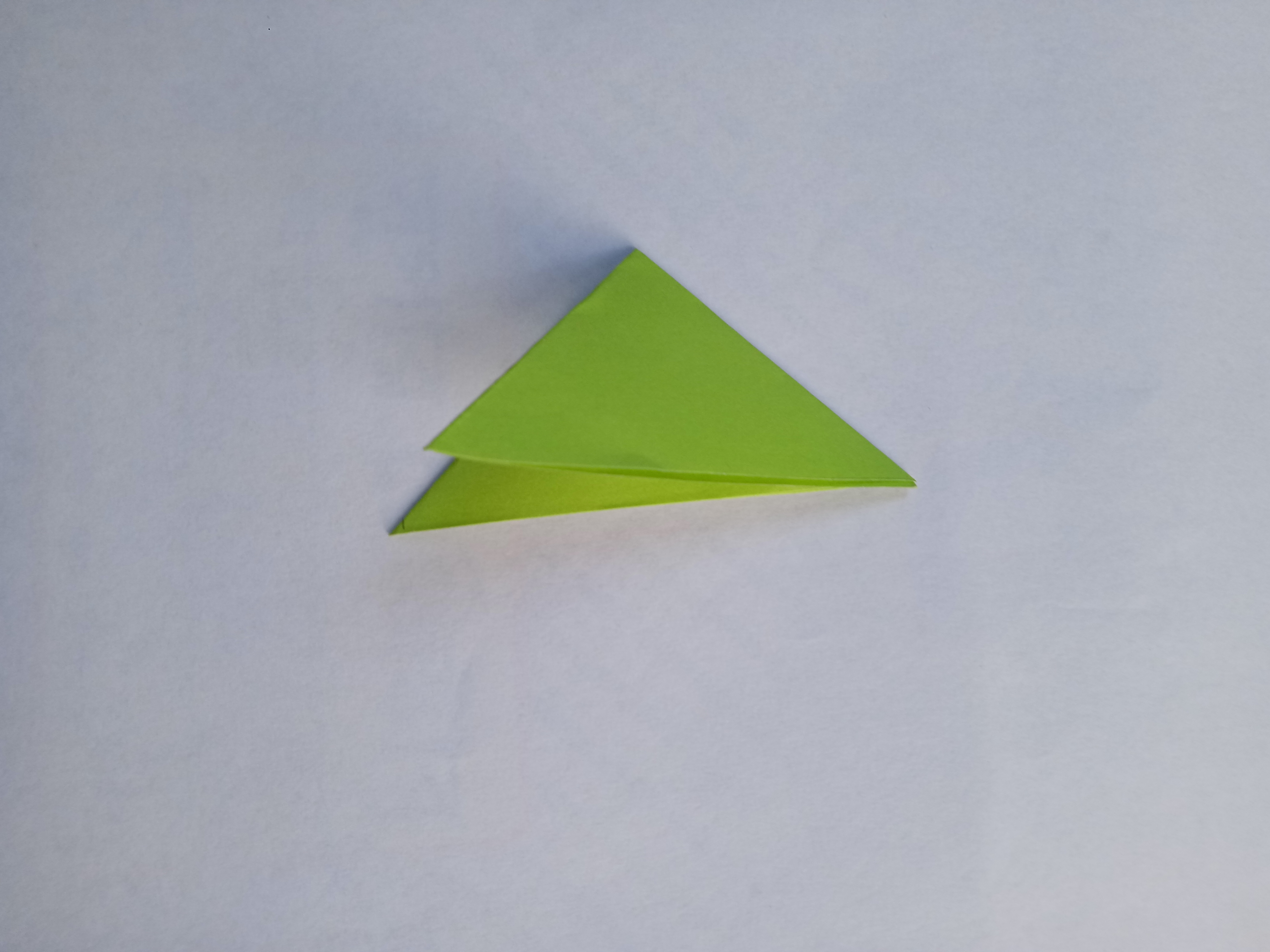 IMG20211028170253.jpg