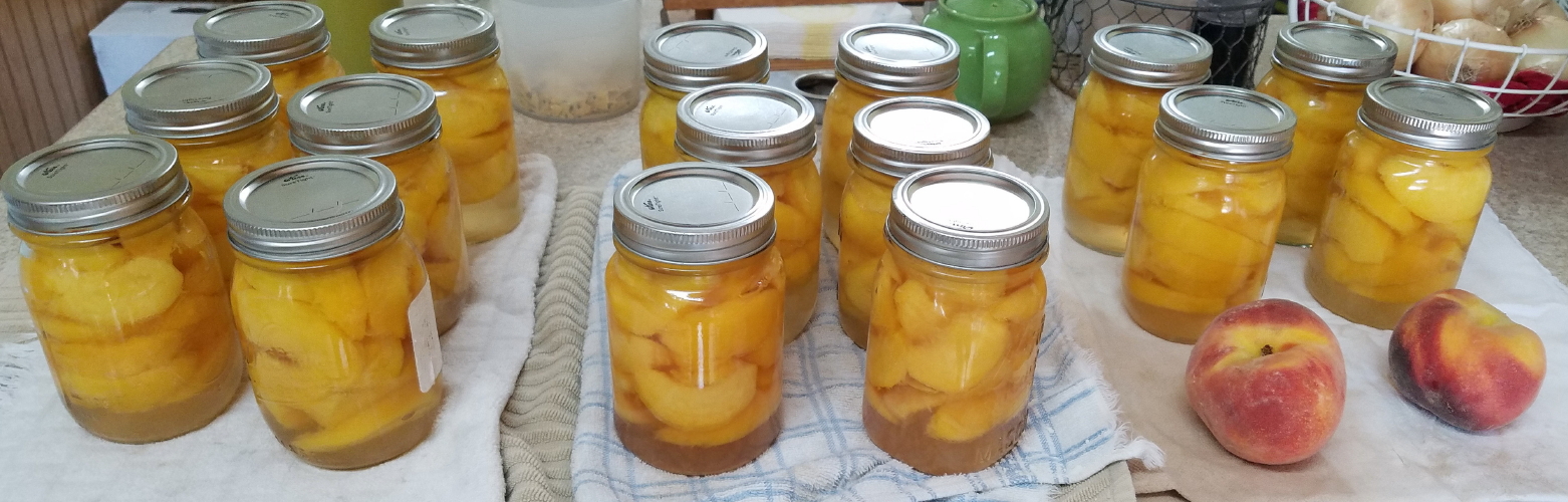 20190821_111410 trimmed_4.jpg