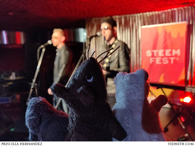 steembirds - by priscilla Hernandez (yidneth.com).jpg