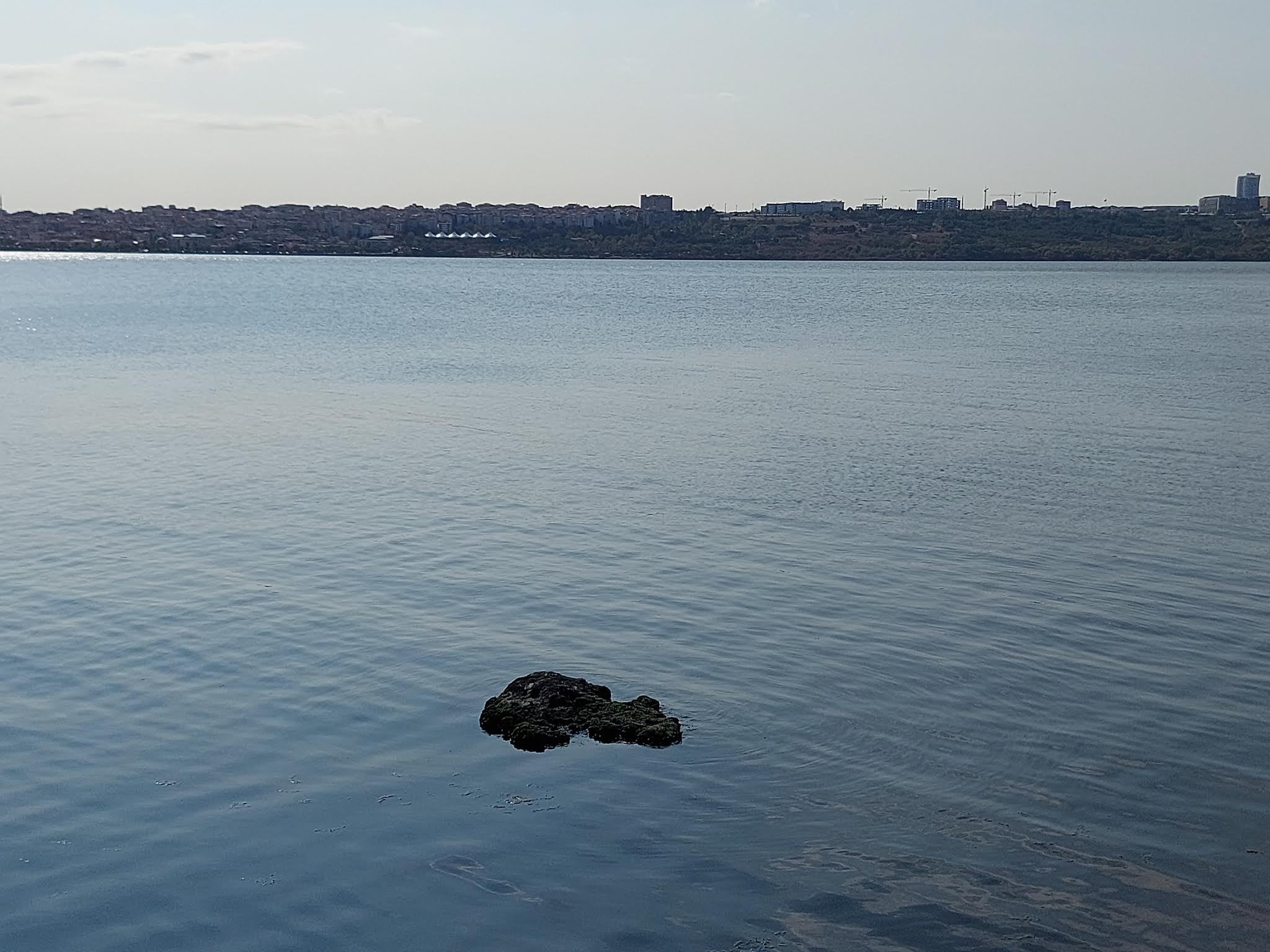 20210928_151145.jpg