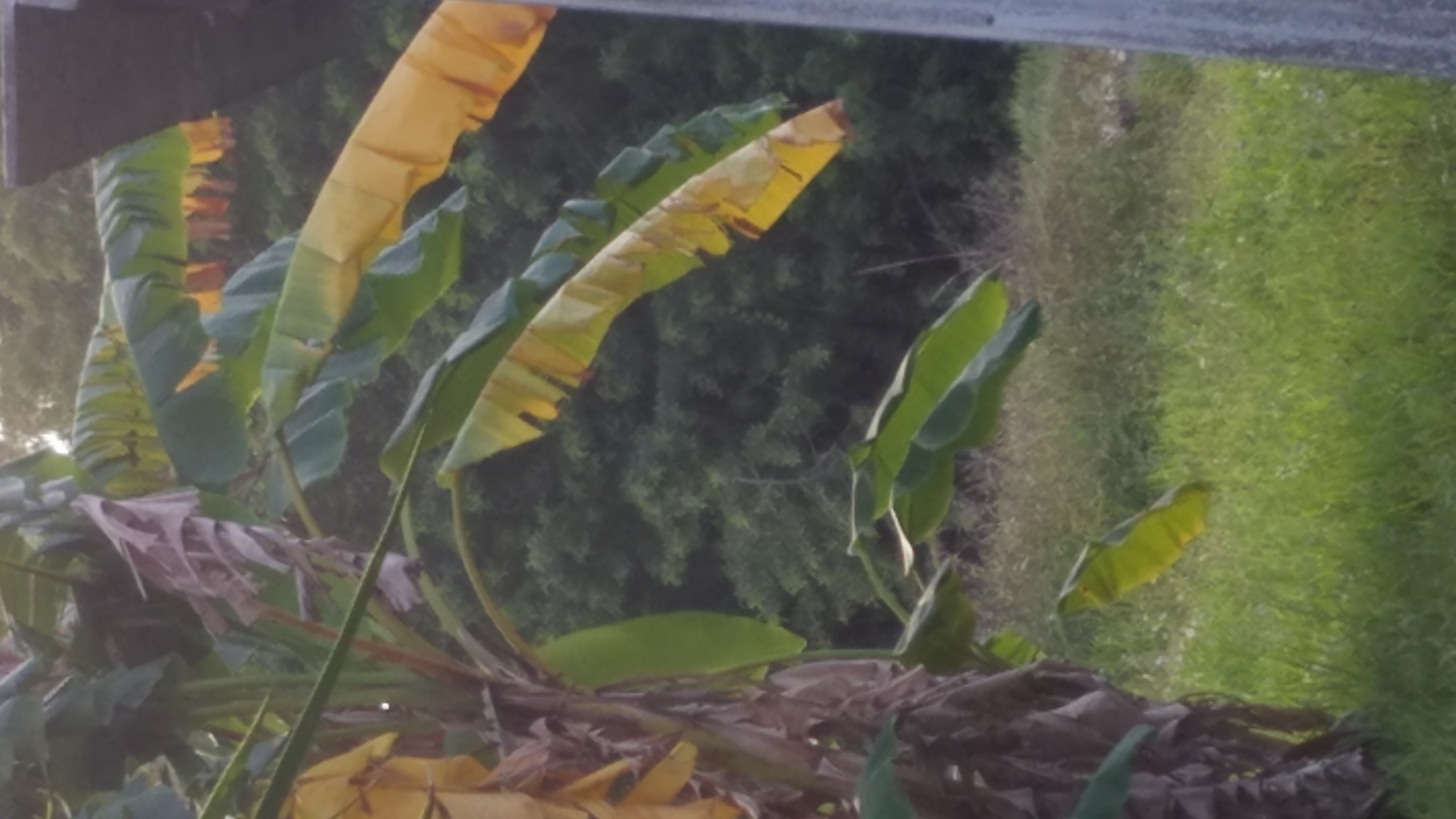 20181024_183955.jpg