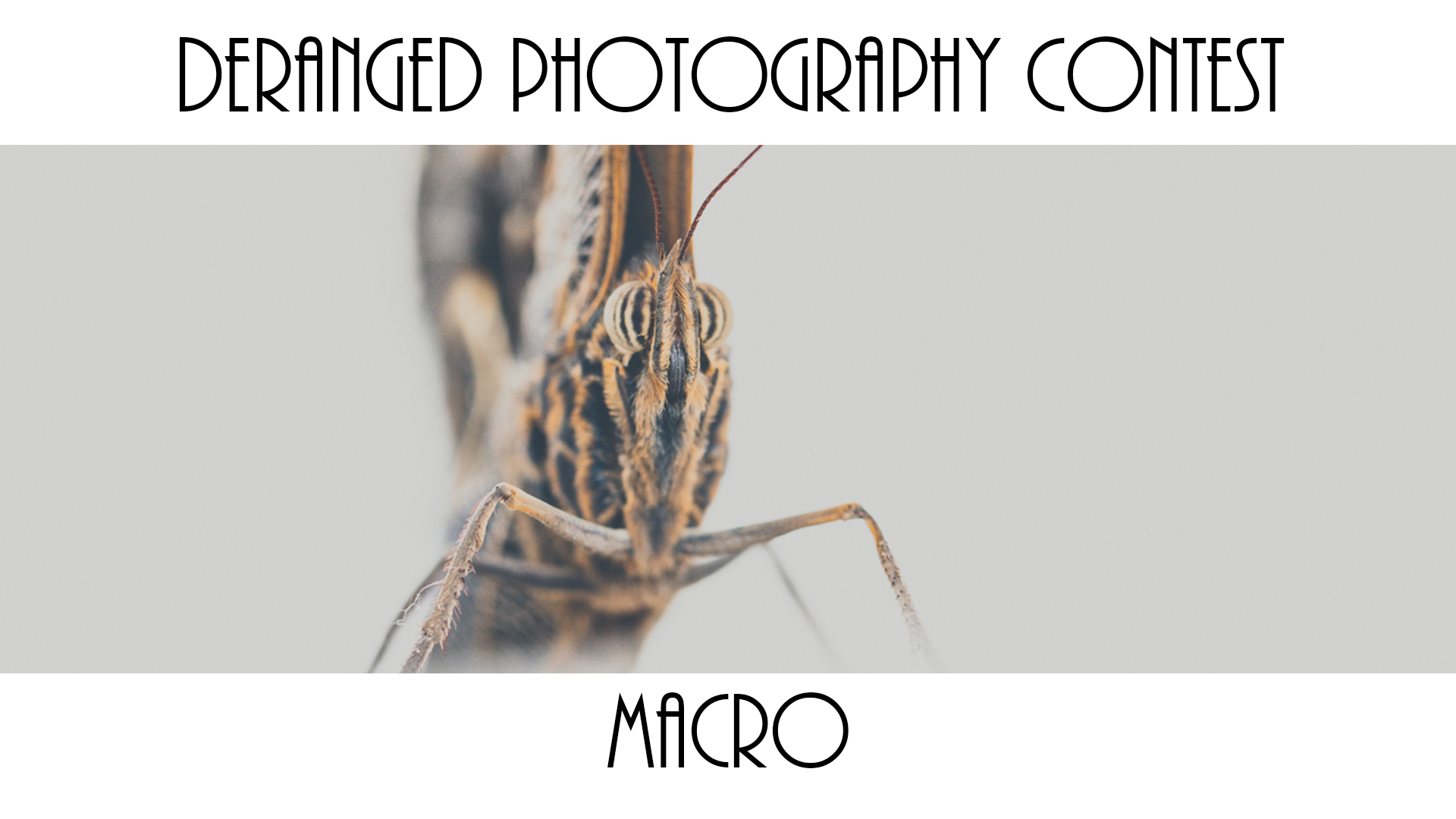 macro.jpg