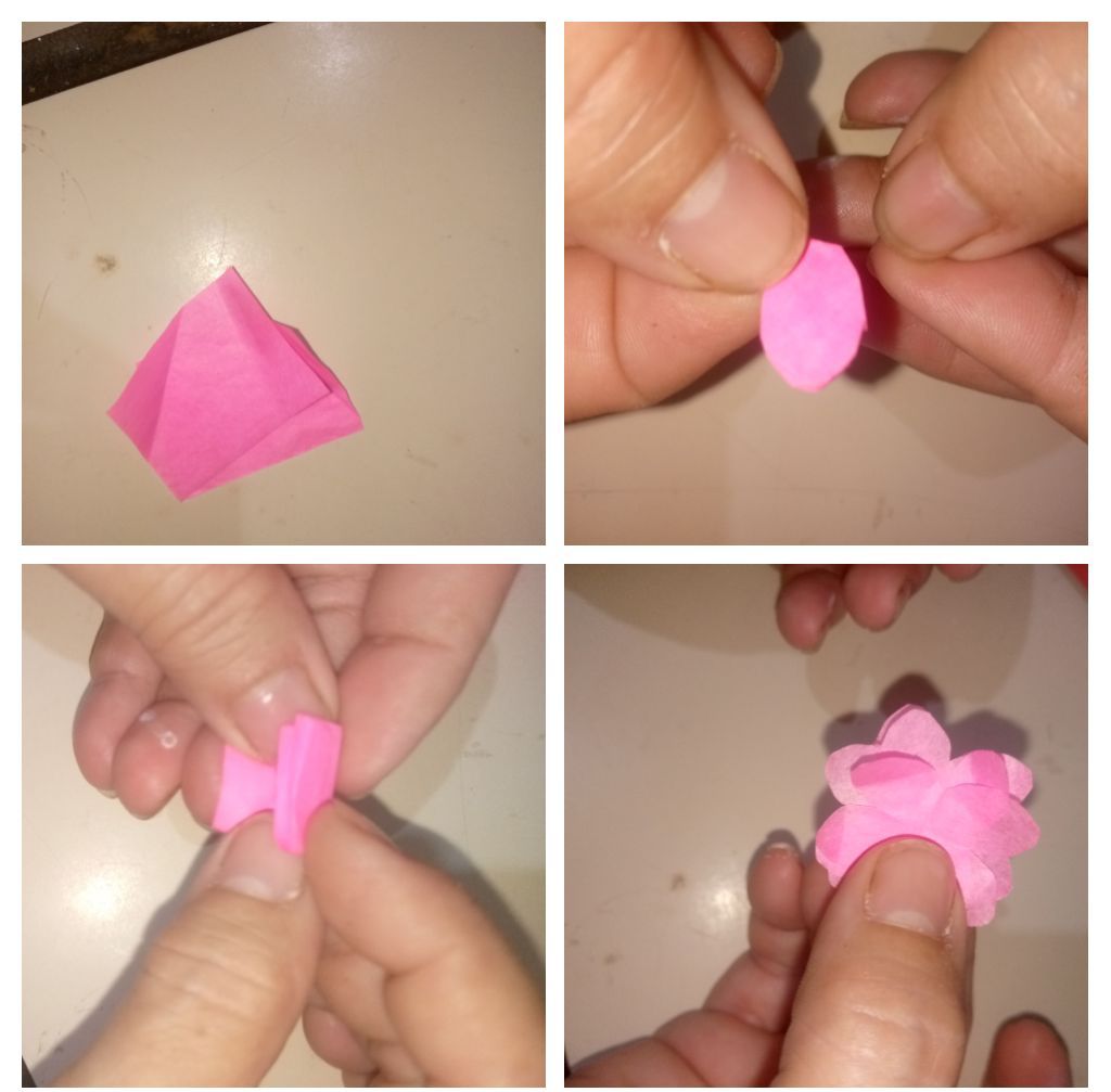 IMG_20260816_202020-COLLAGE~2.jpg