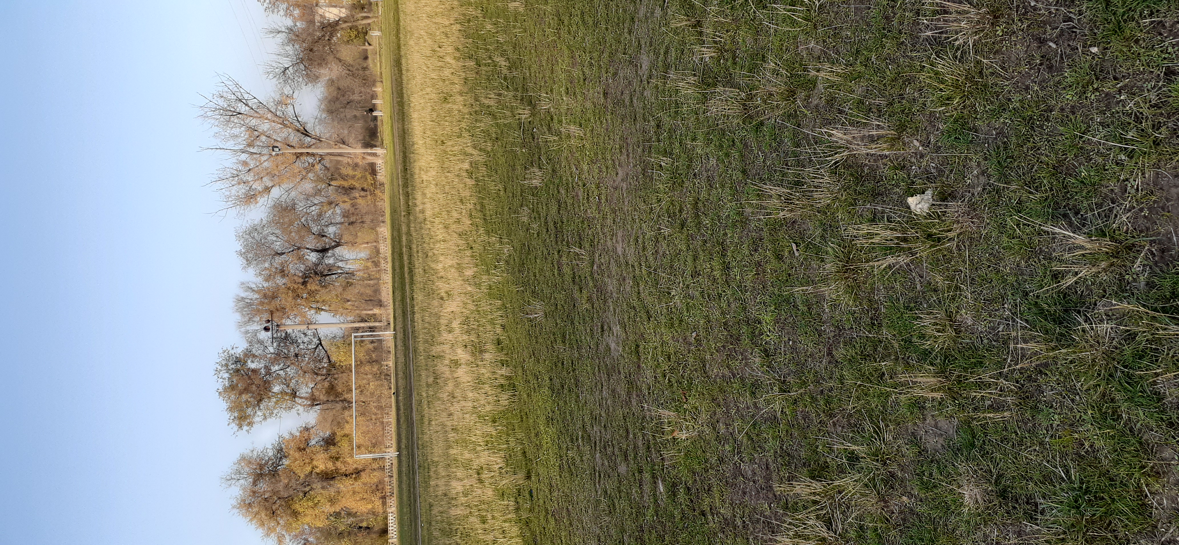 20201112_142547.jpg