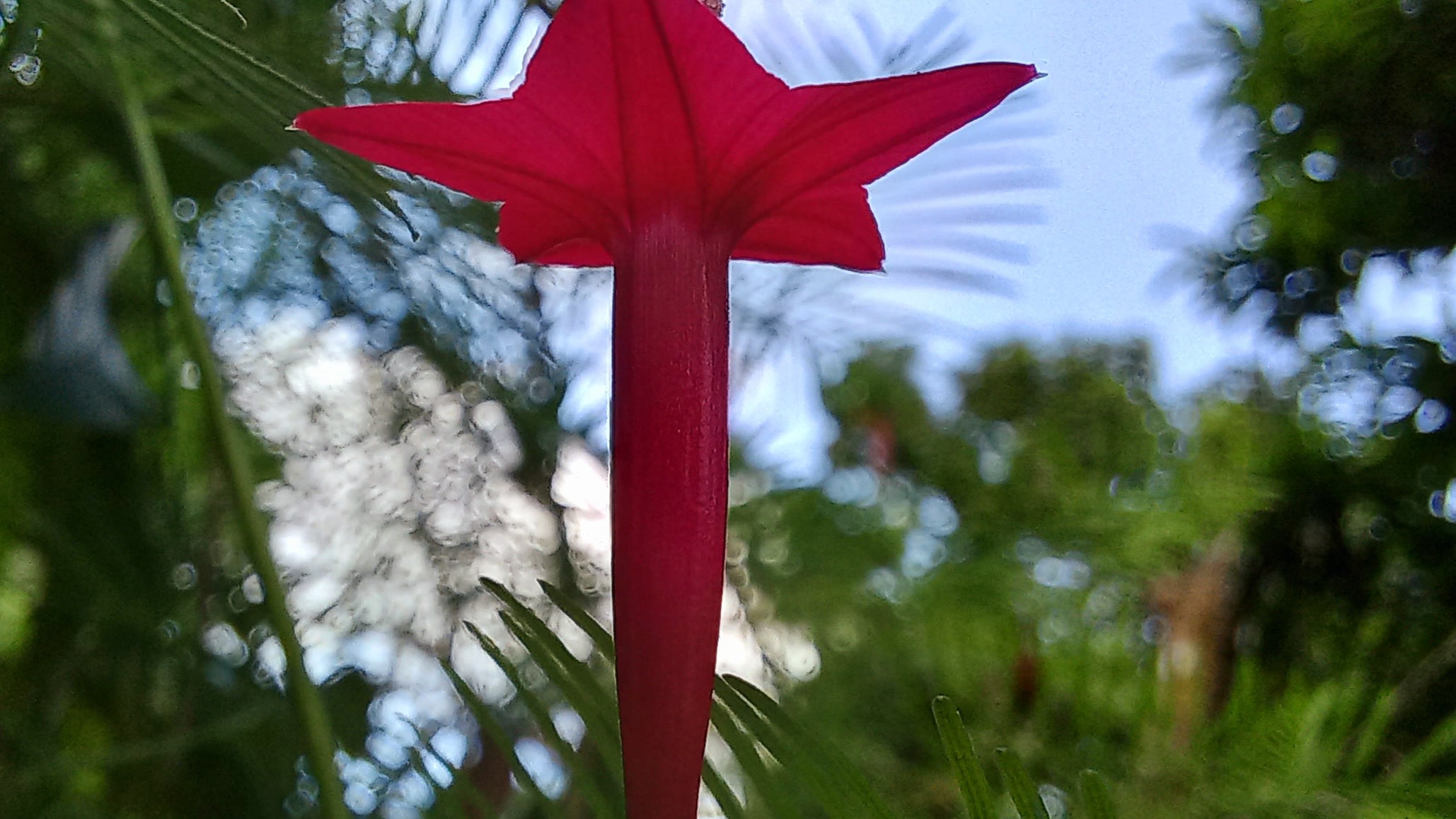 20220831_093348.jpg