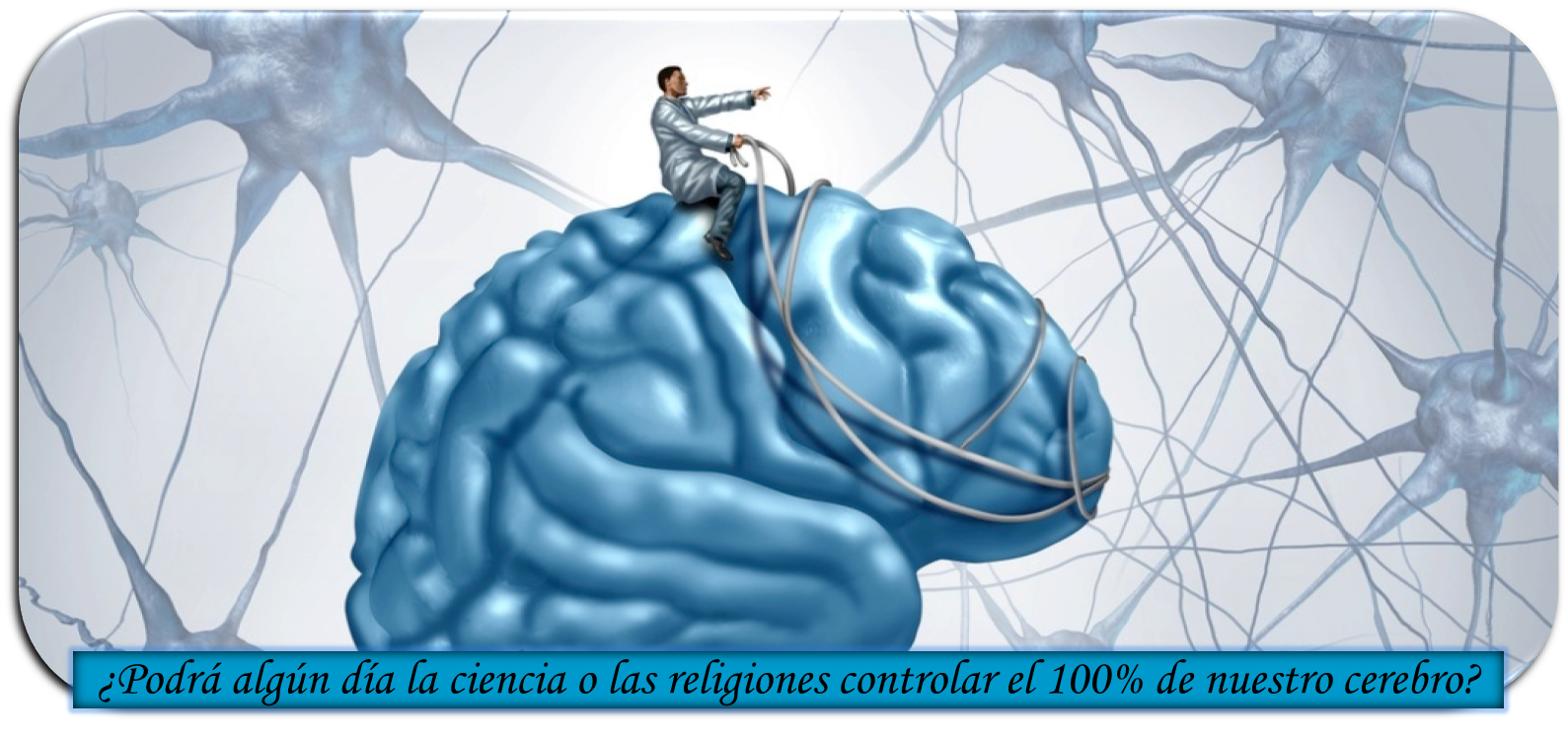 Интеллектуальное тело. Сильный мозг. Мозг управляет человеком. Человеческий разум.