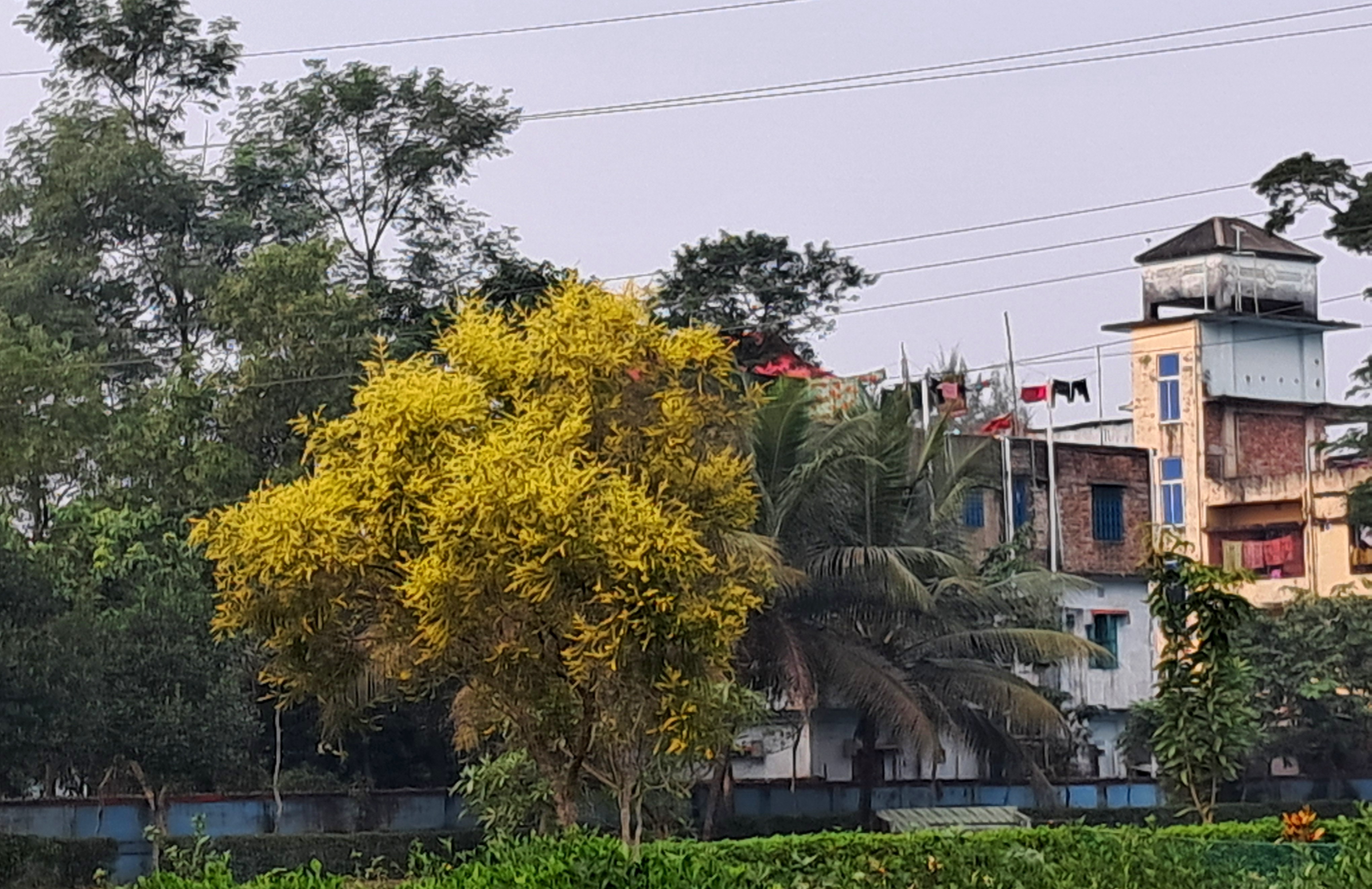 20251203_130013.jpg