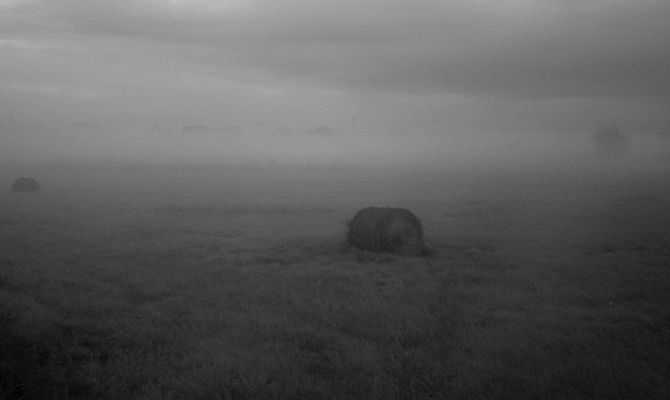 DSC00272 malo.jpg