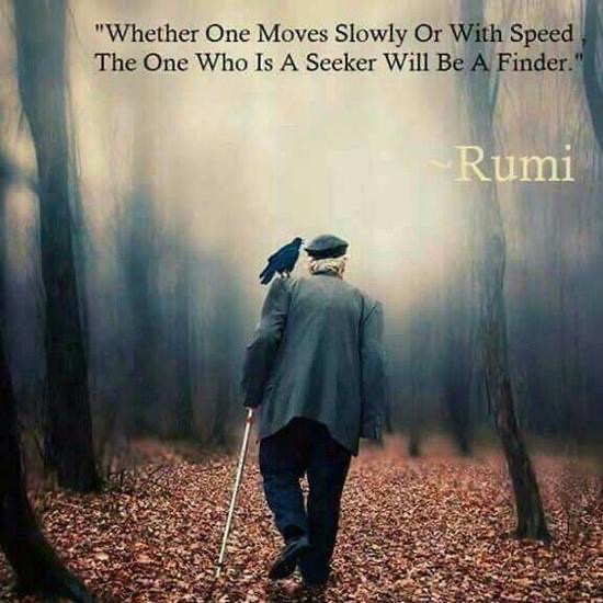 whether one moves slowly.JPG