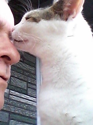 20150527_120758 (2).jpg