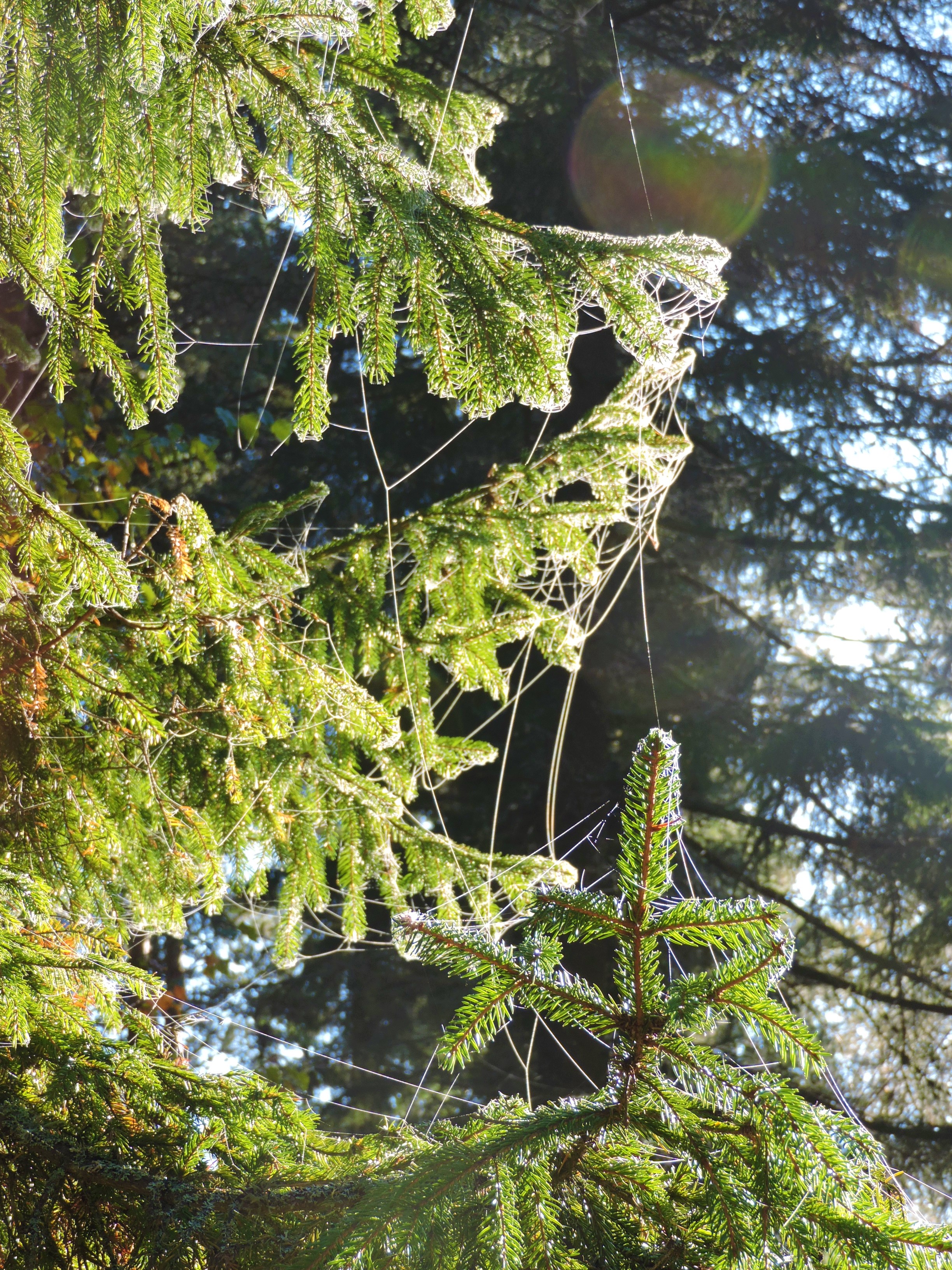 DSCN1856.JPG