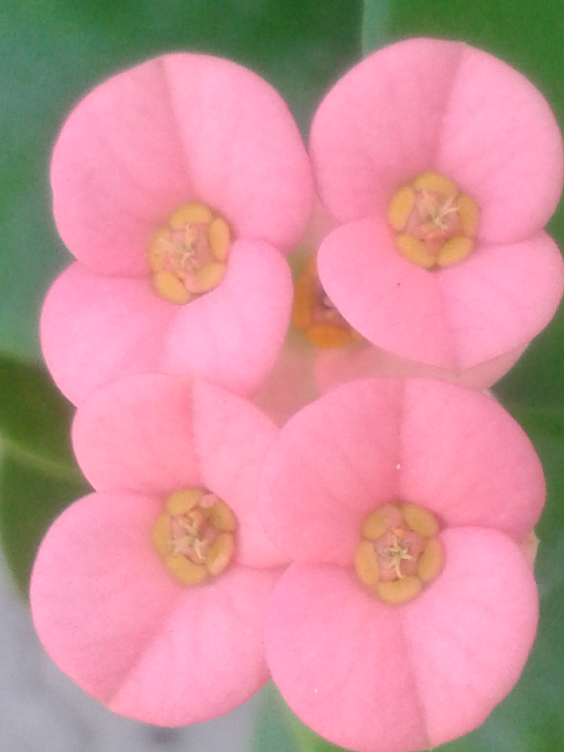 20191204_064342.jpg
