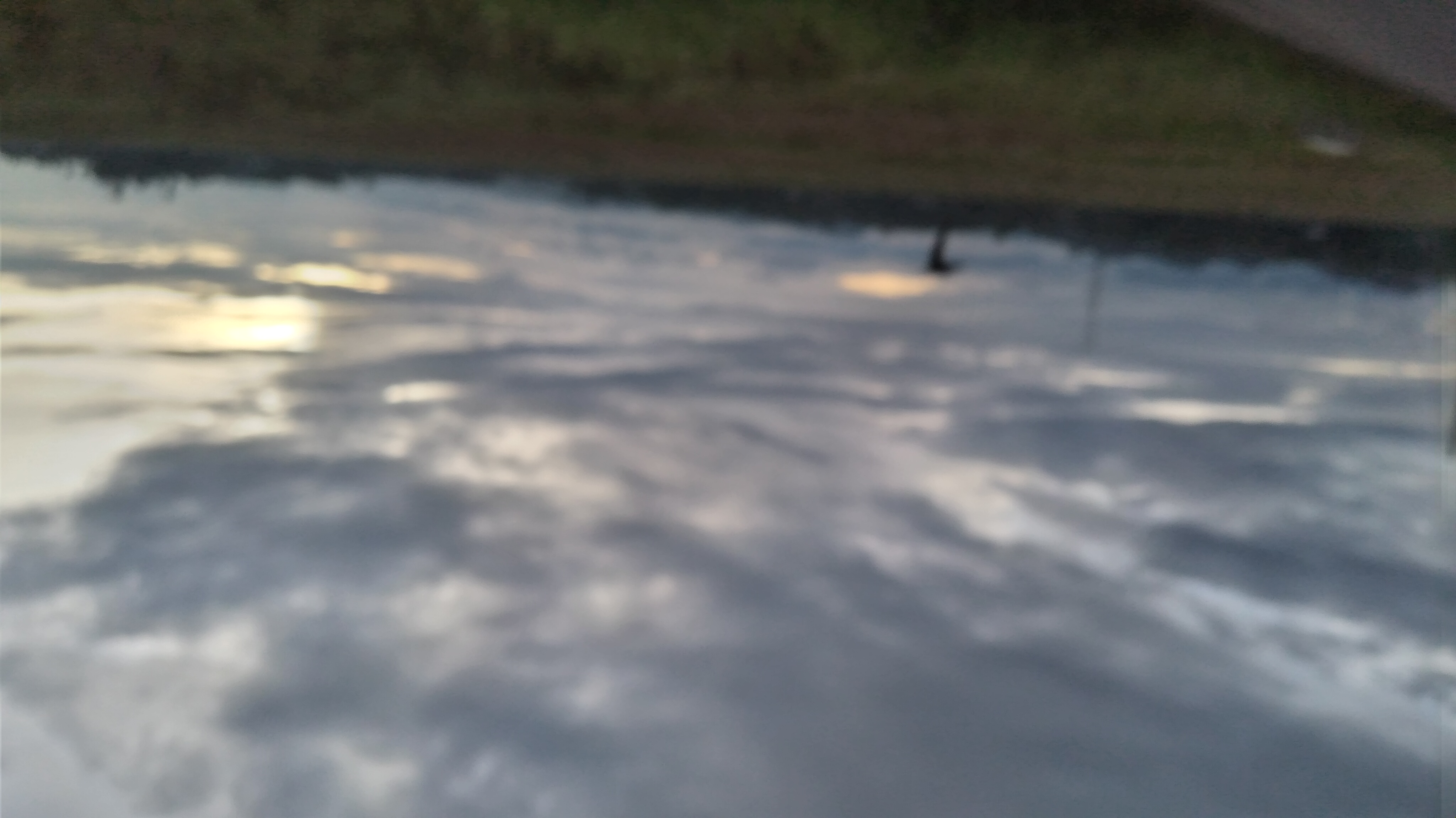 20221021_174155.jpg