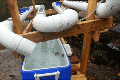 water_return.gif