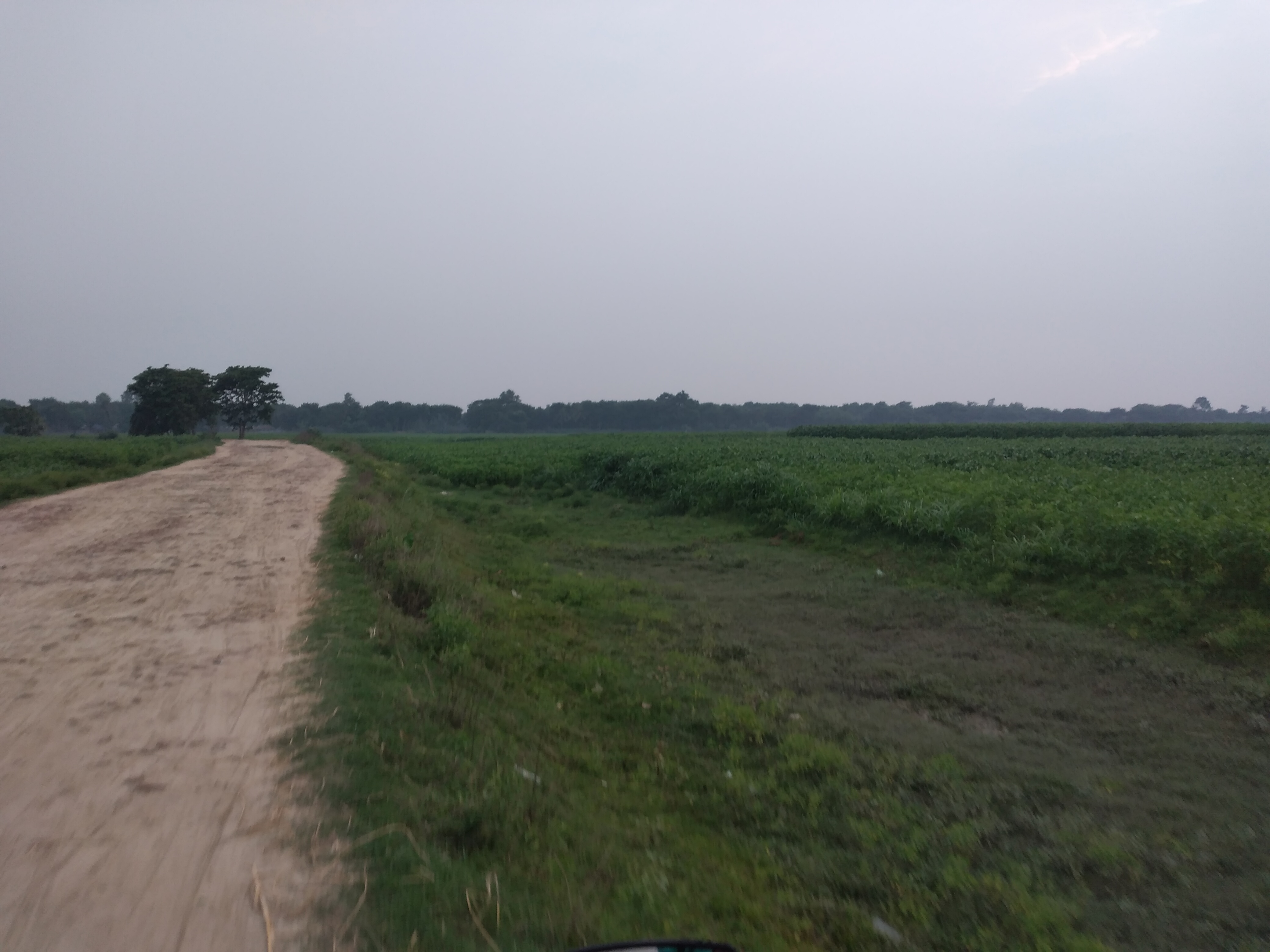 20220529_182956.jpg