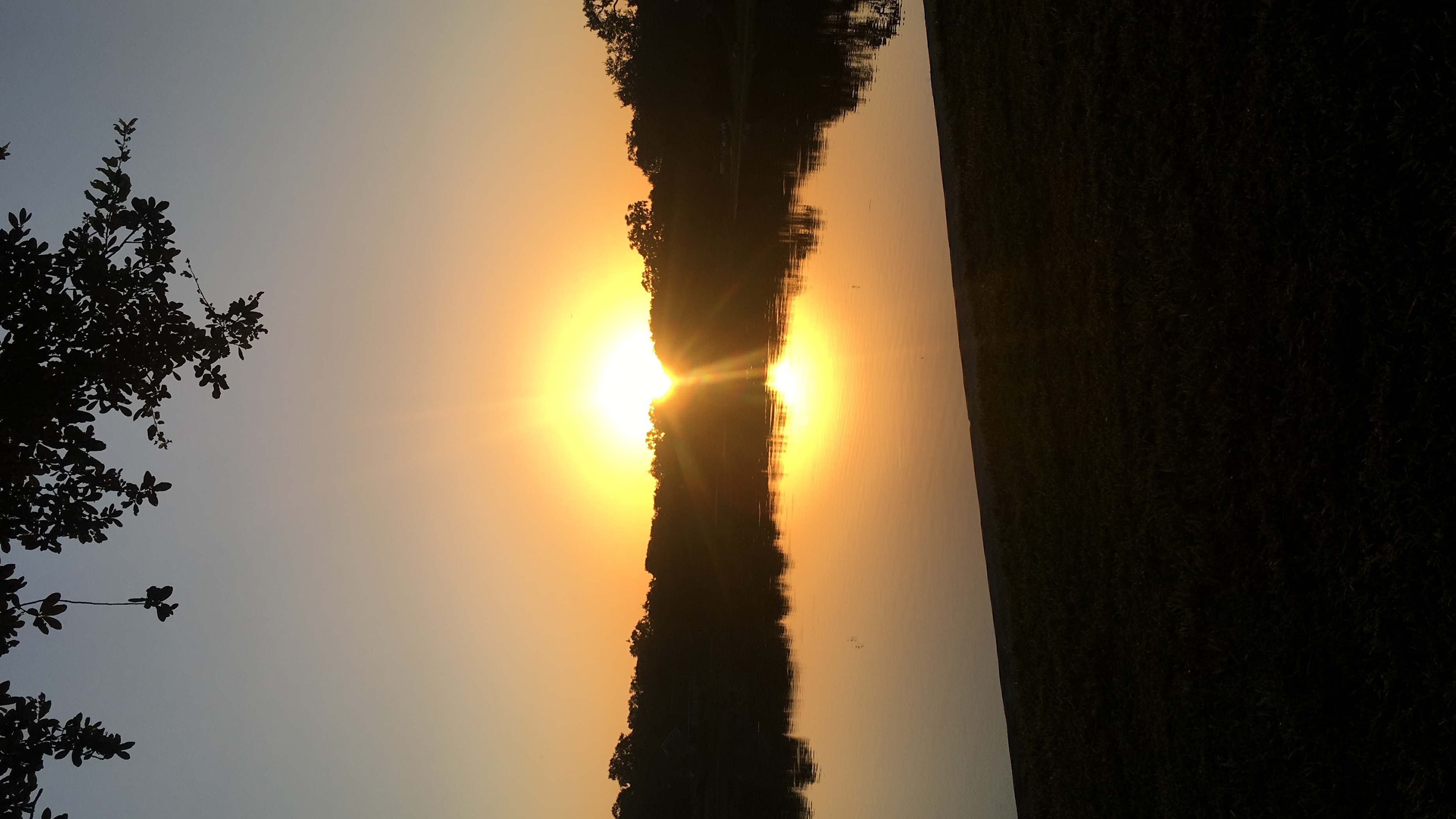 A0618063-7E64-43A3-8F9C-D6C59EA5F24A.jpeg