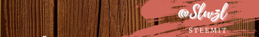 sl.png