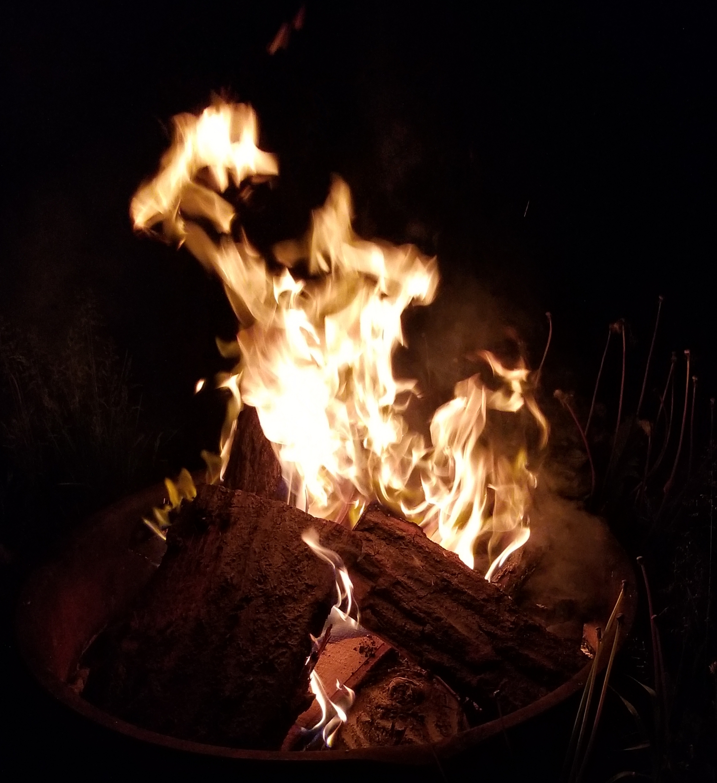 20181007_202854.jpg
