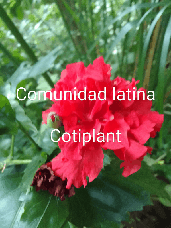 Media_231223_141315.gif