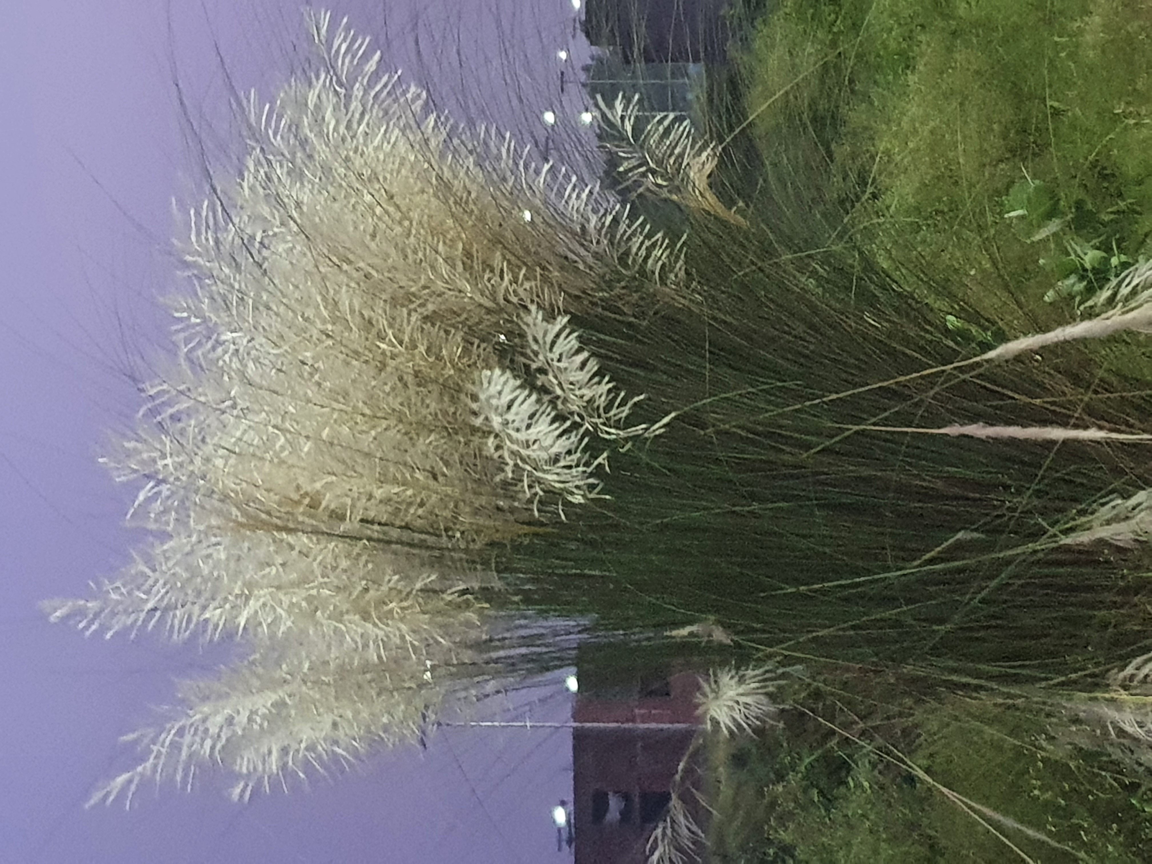 20260908_052045.jpg