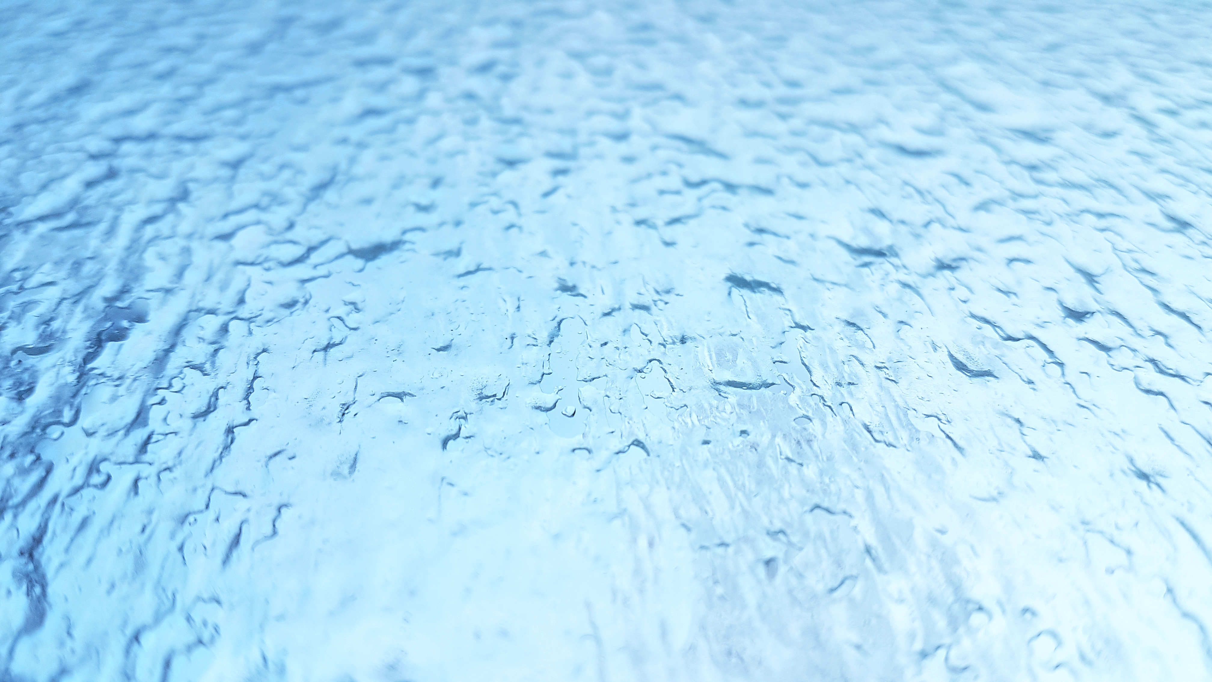 20190223_101543.jpg