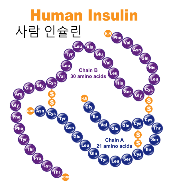 제목 없는 디자인 (8).jpg