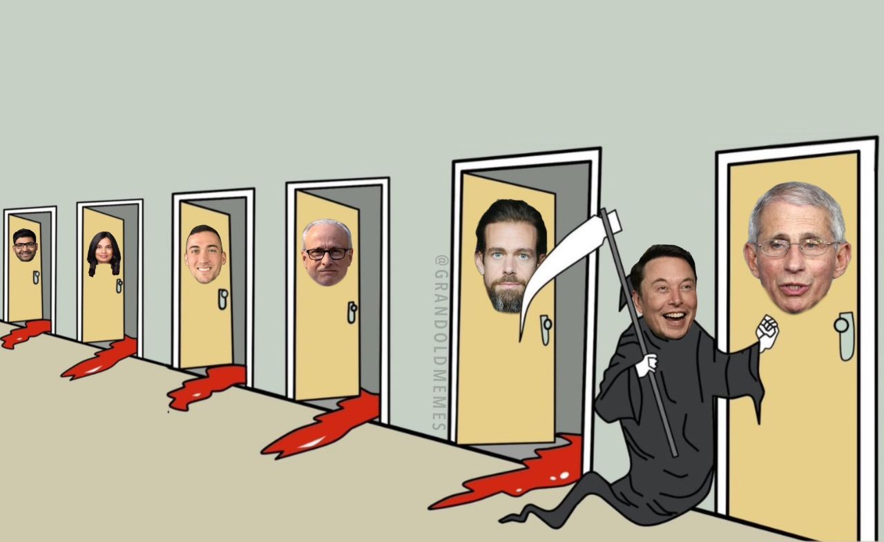 Musk Fauci.jpeg