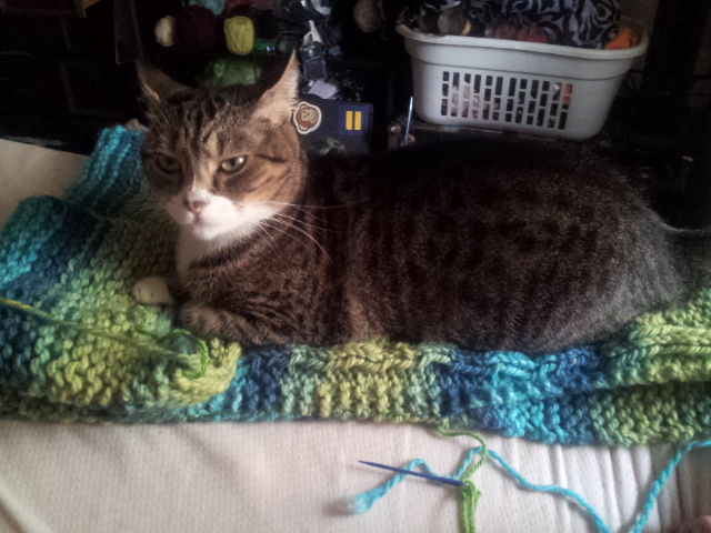 20150227_124445.jpg