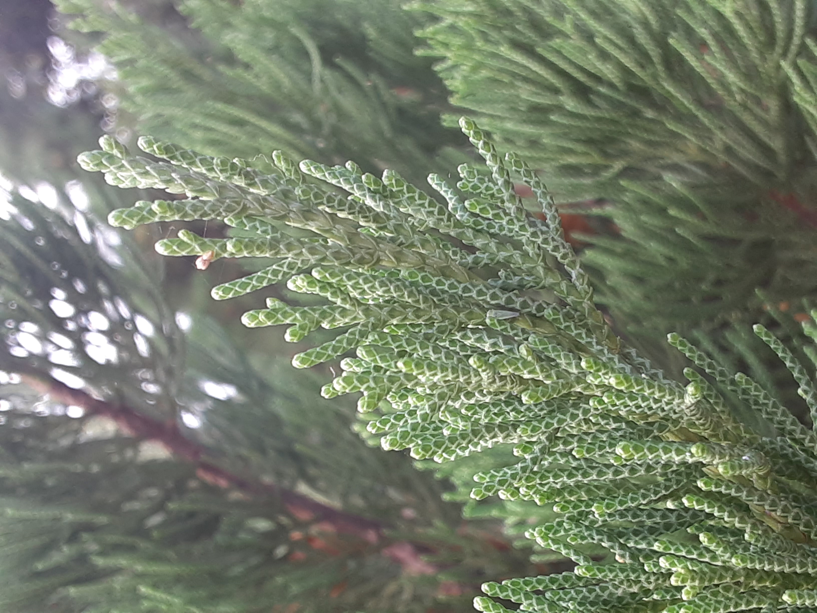20241208_111148.jpg