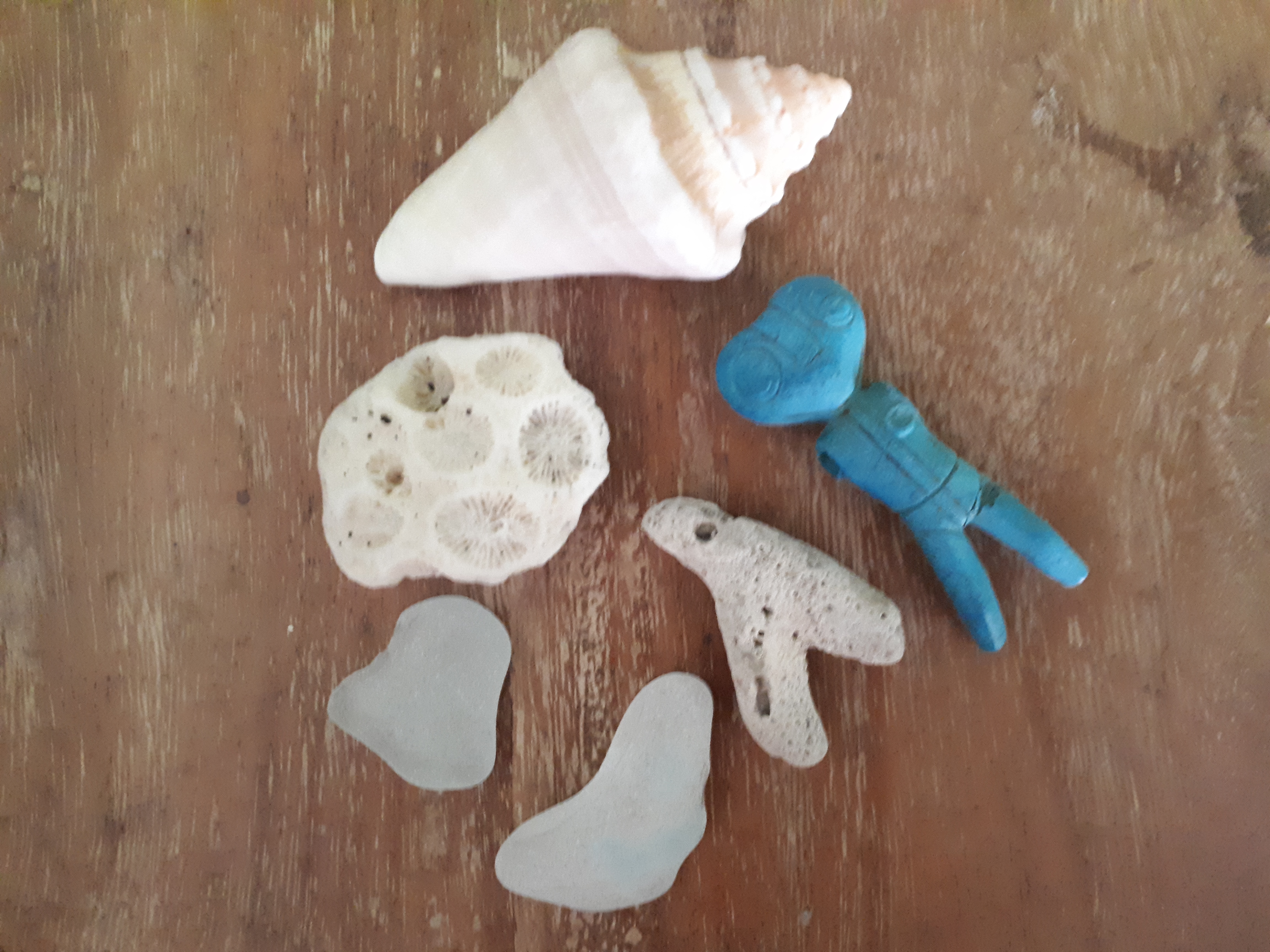20180702_134902.jpg