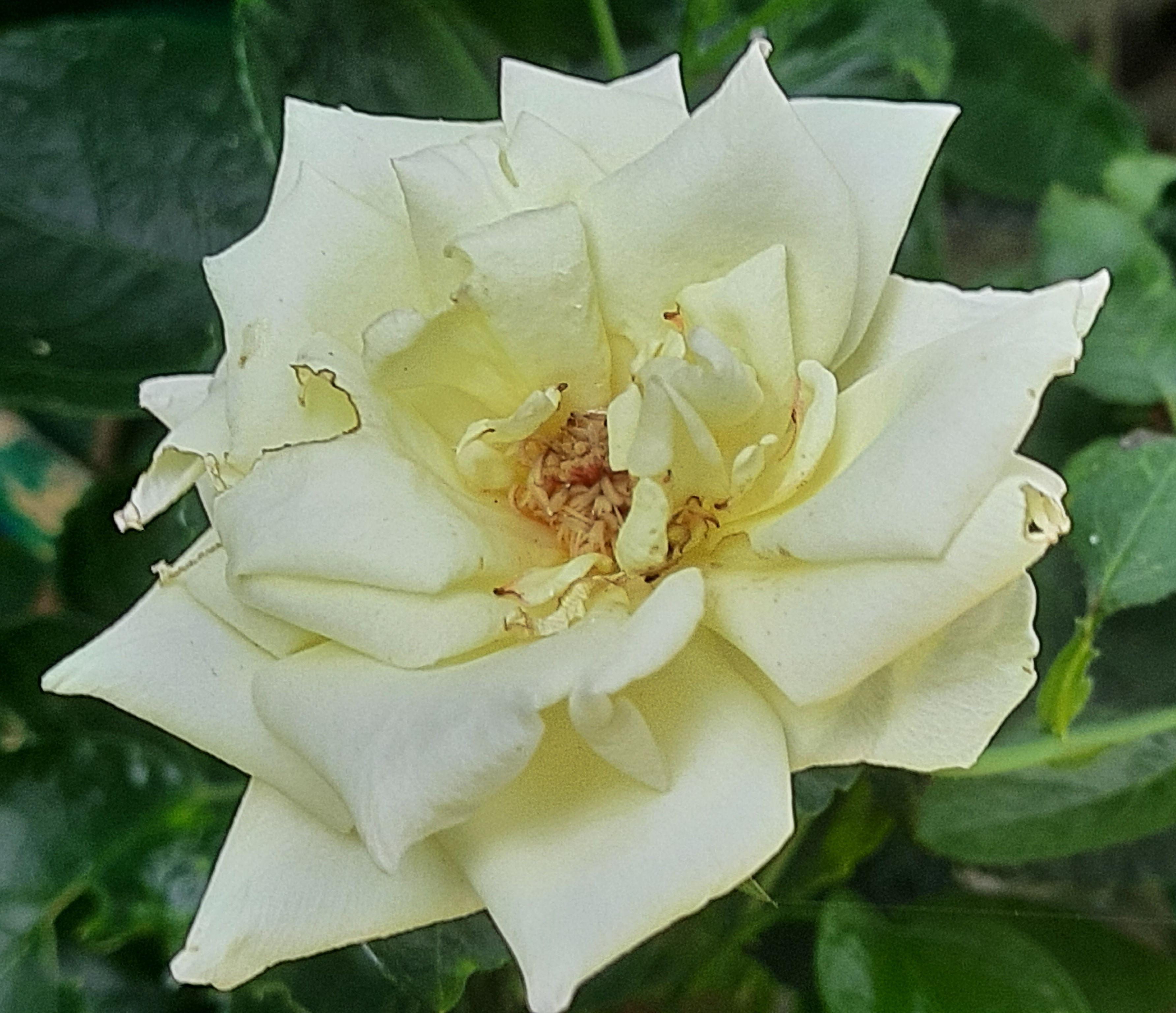 20251028_134308.jpg