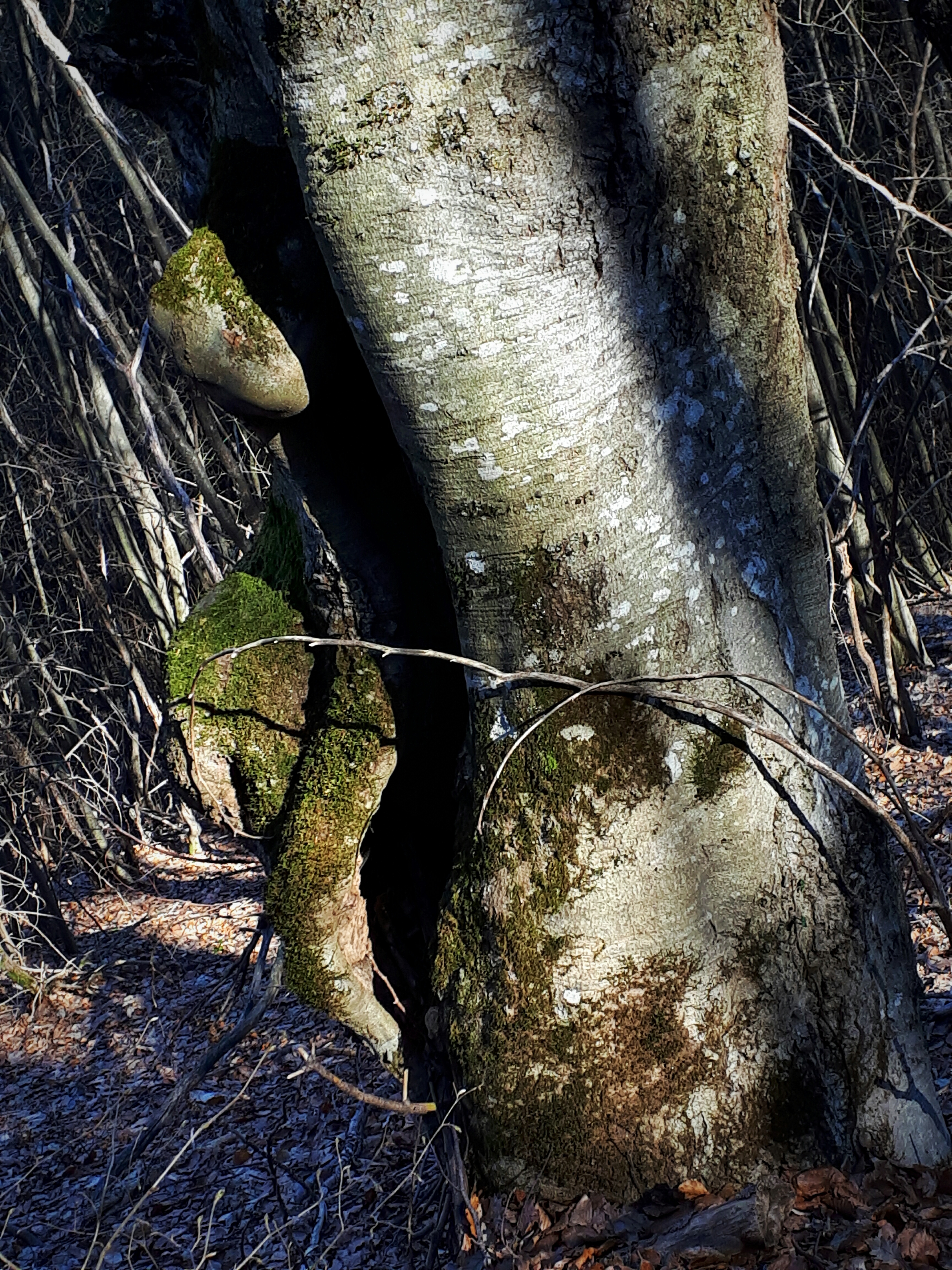 20190317_143810.jpg