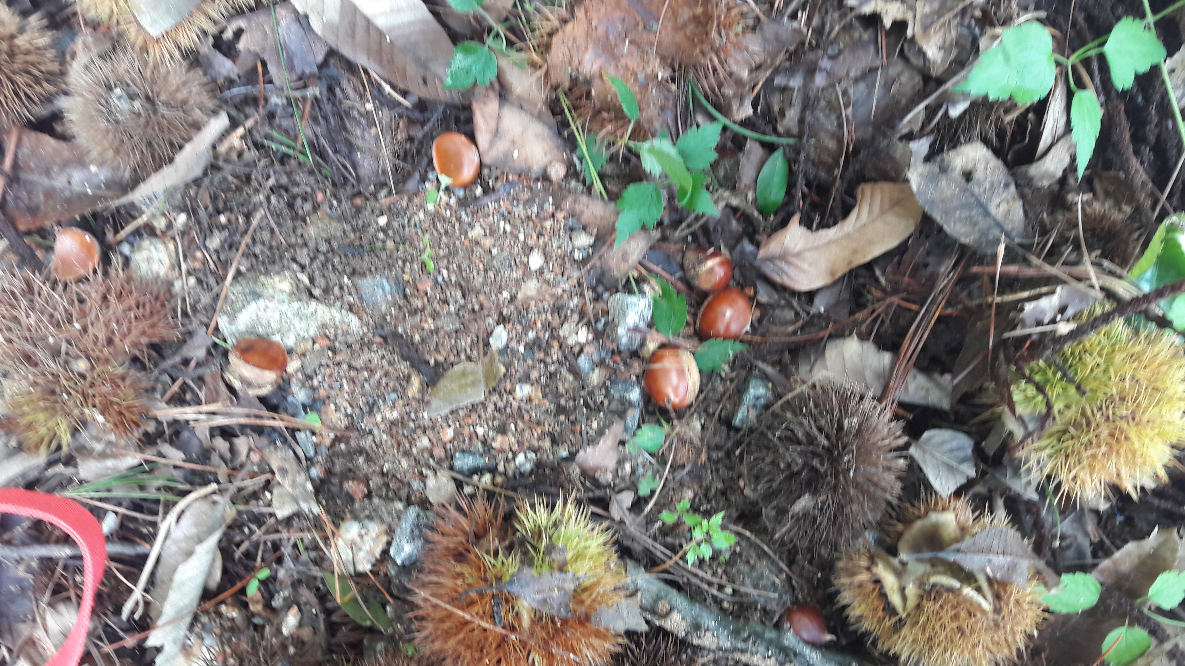 20180922_104133.jpg