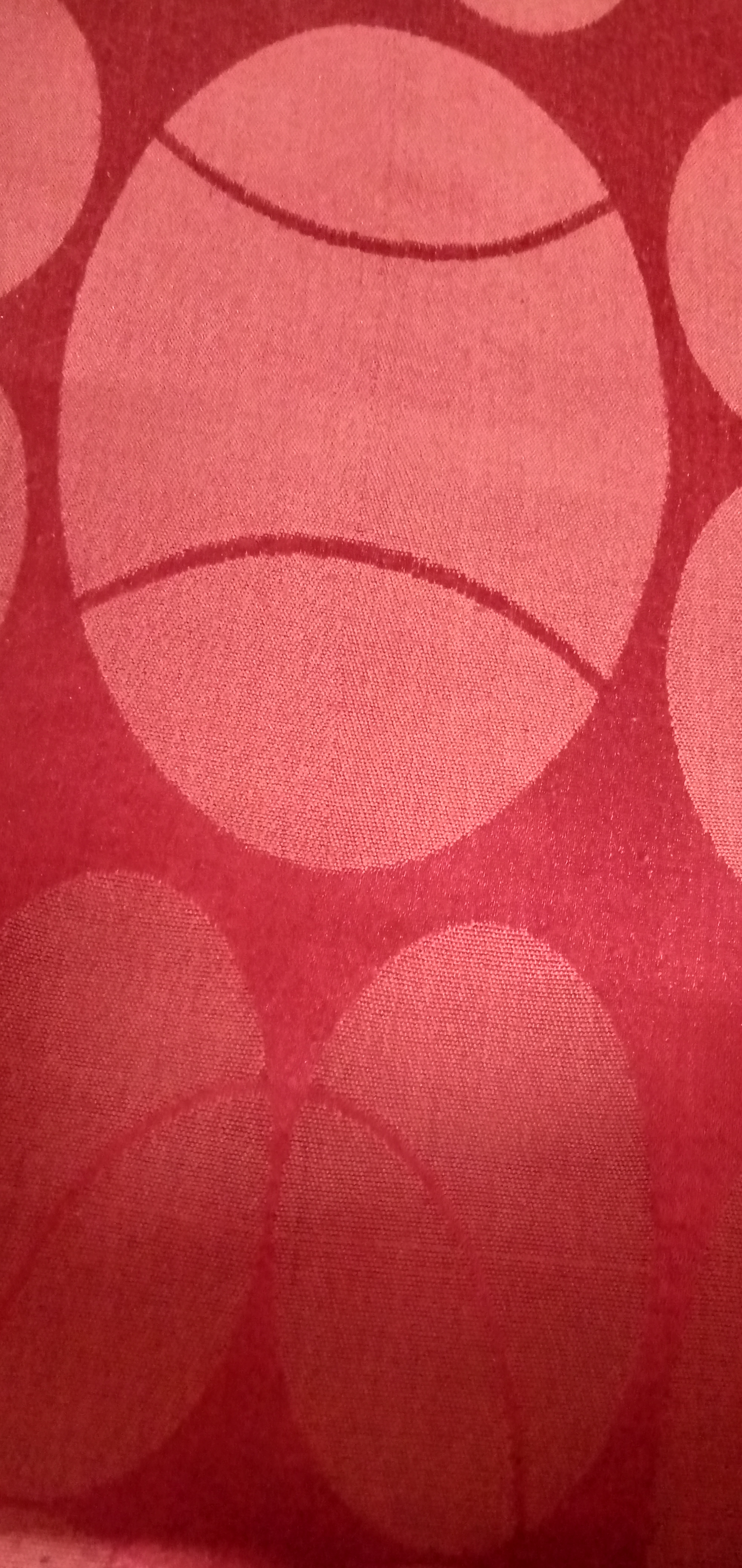 IMG20220422183619.jpg