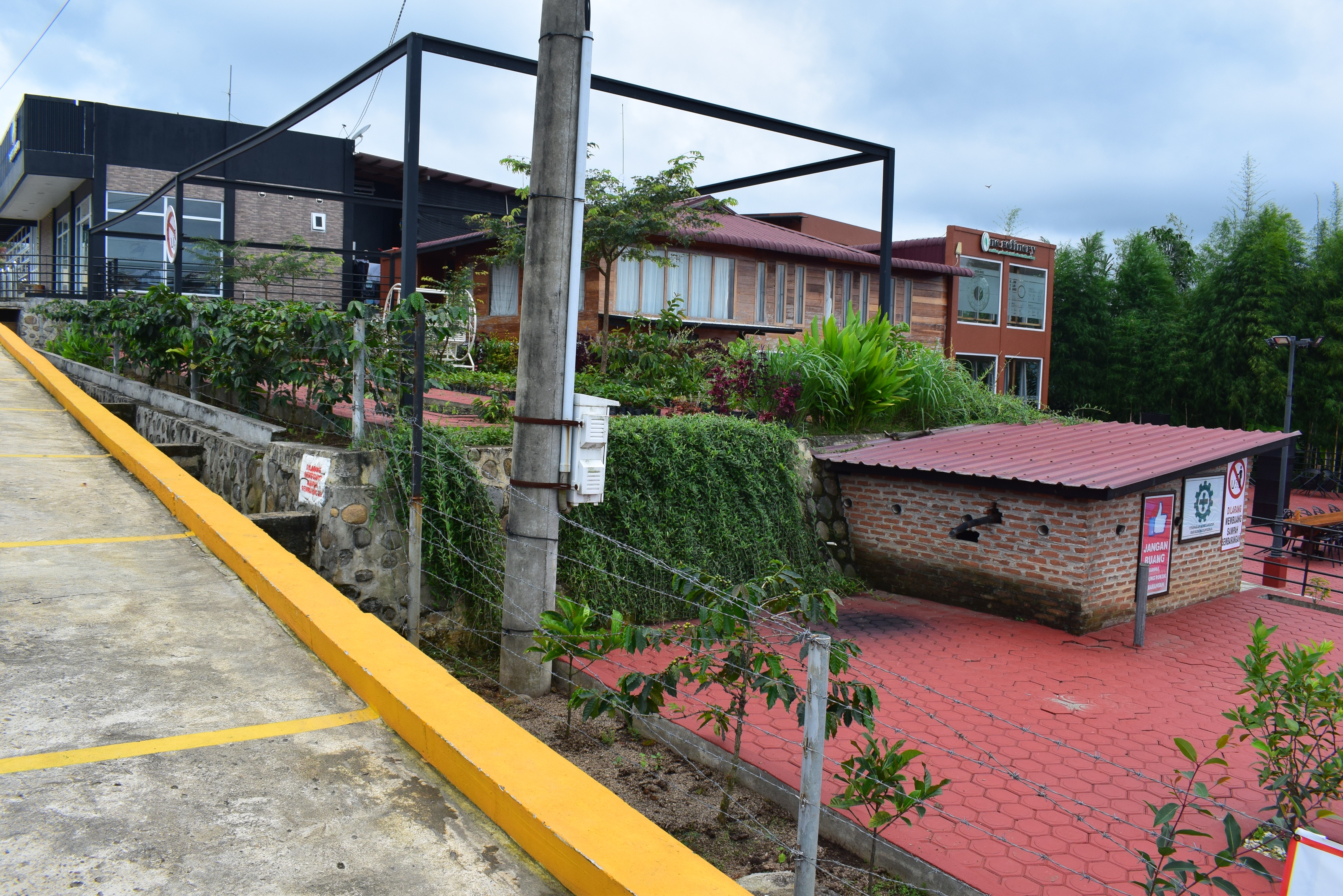 DSC_0202-01.jpeg