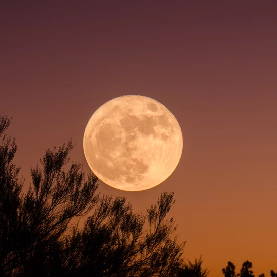 spiritual-limpia-for-this-full-moon-in-aries.webp