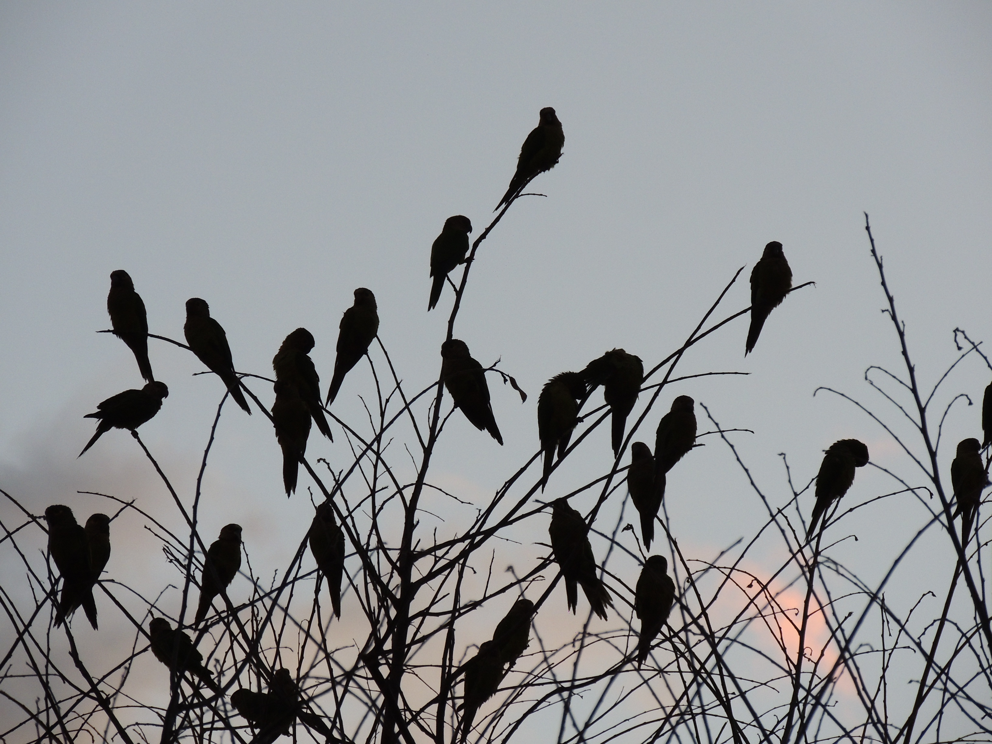 DSCN8028.JPG