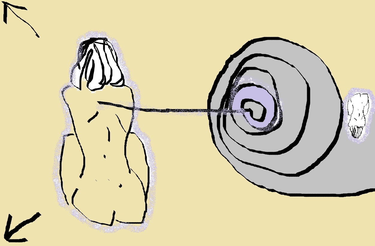 11 once B4.jpg