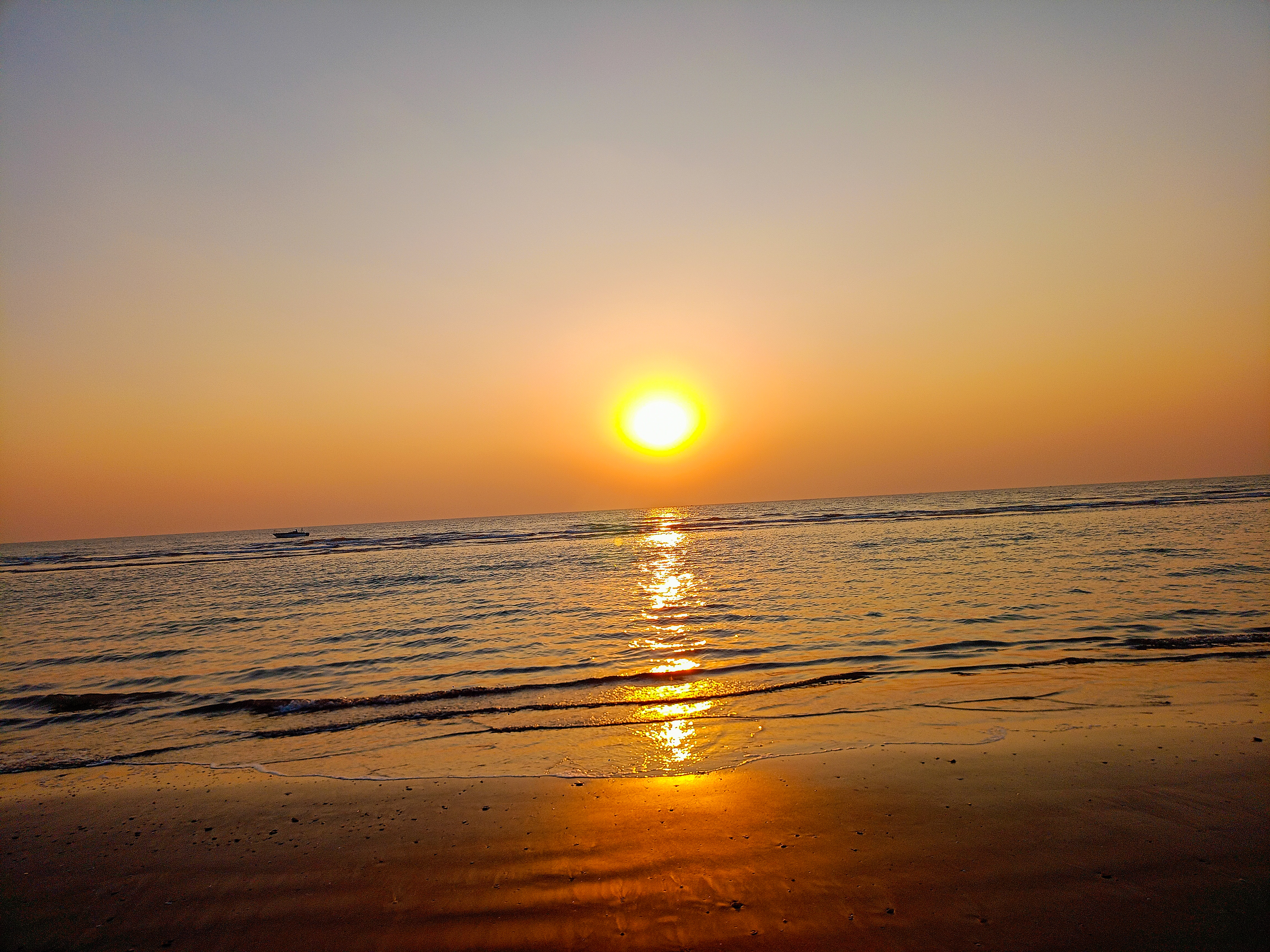 IMG20241206164307.jpg