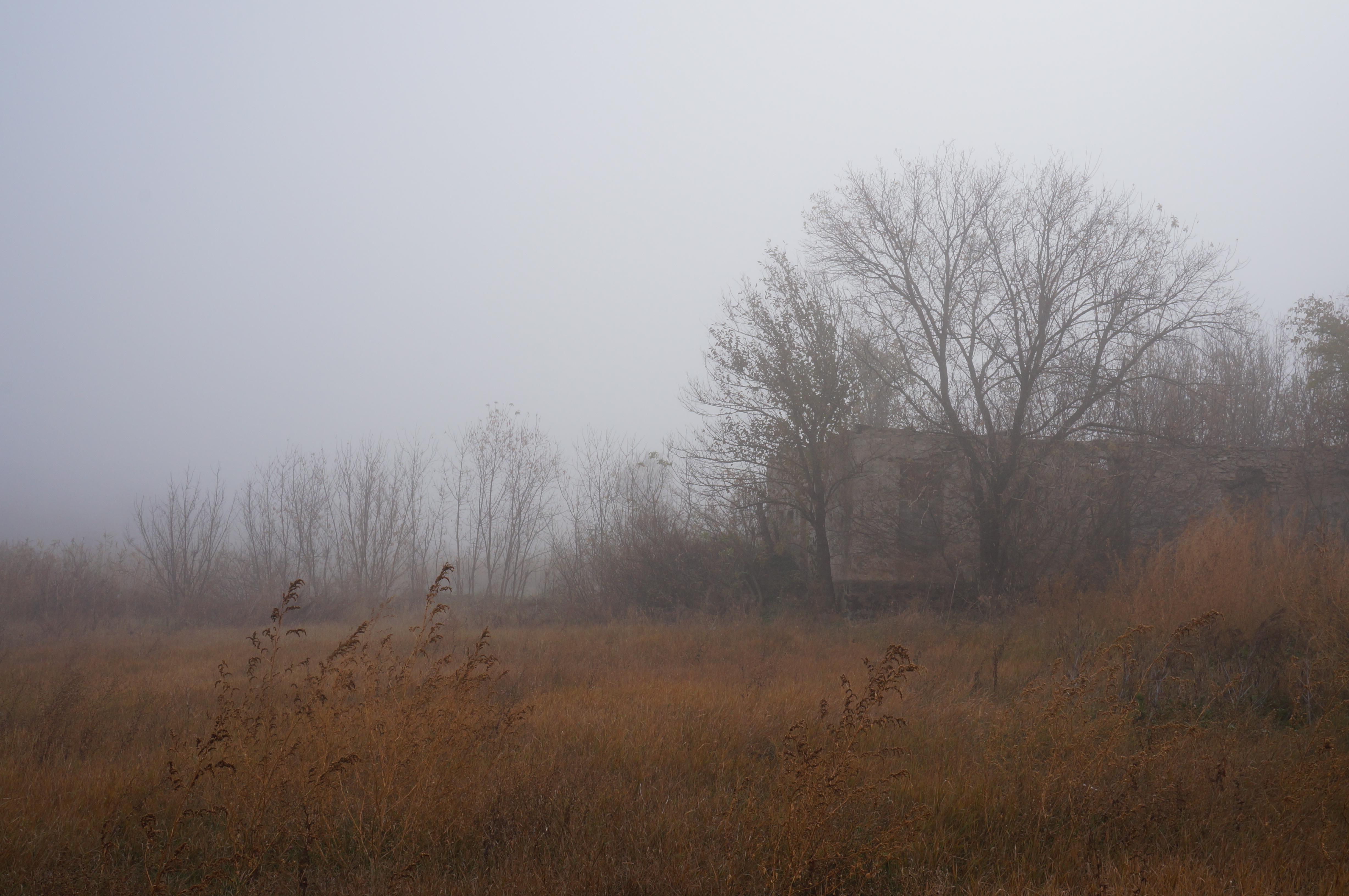 DSC01589.JPG