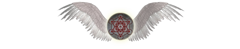 TSOA orb wings banner.png