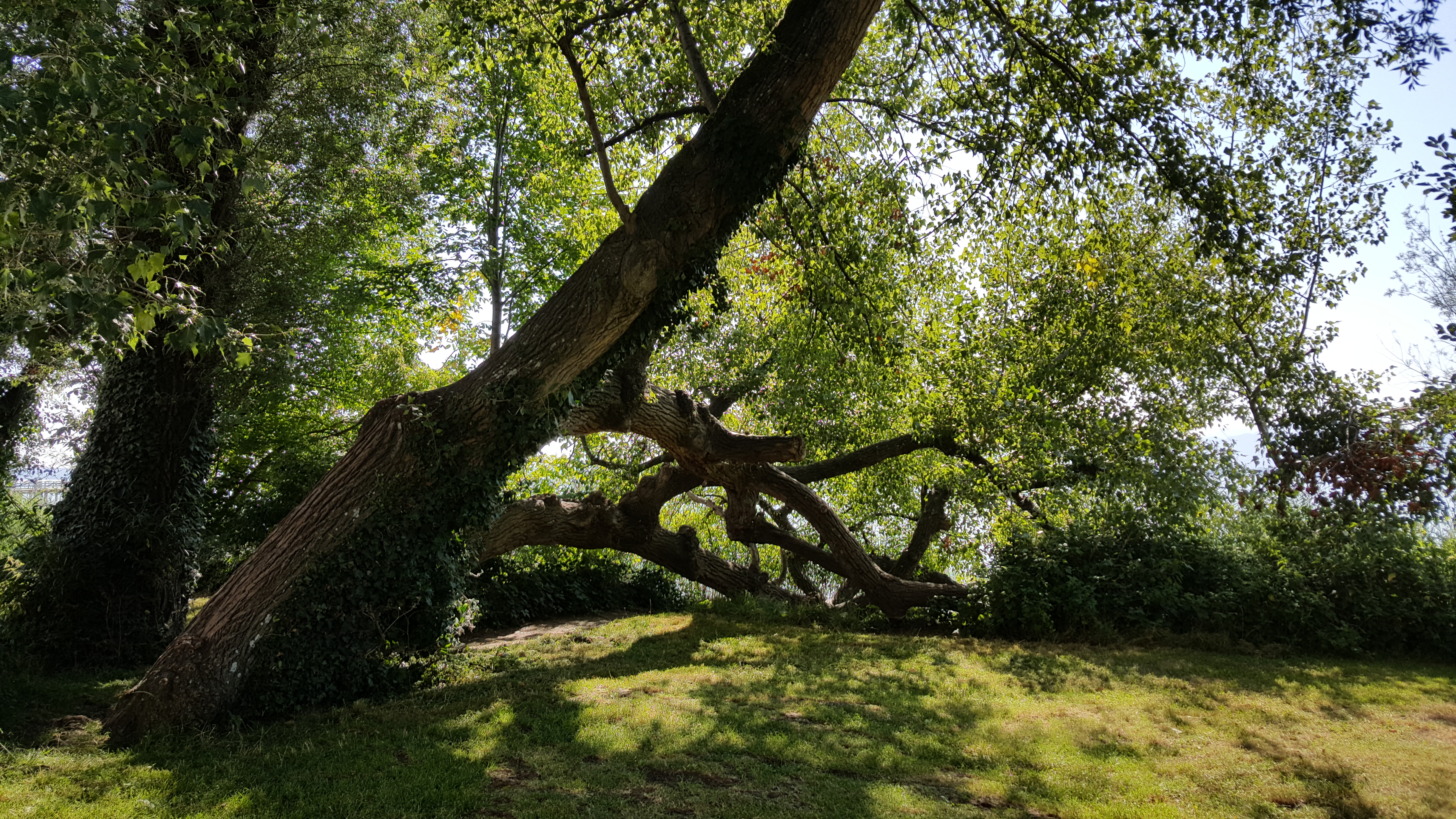20180731_095115.jpg