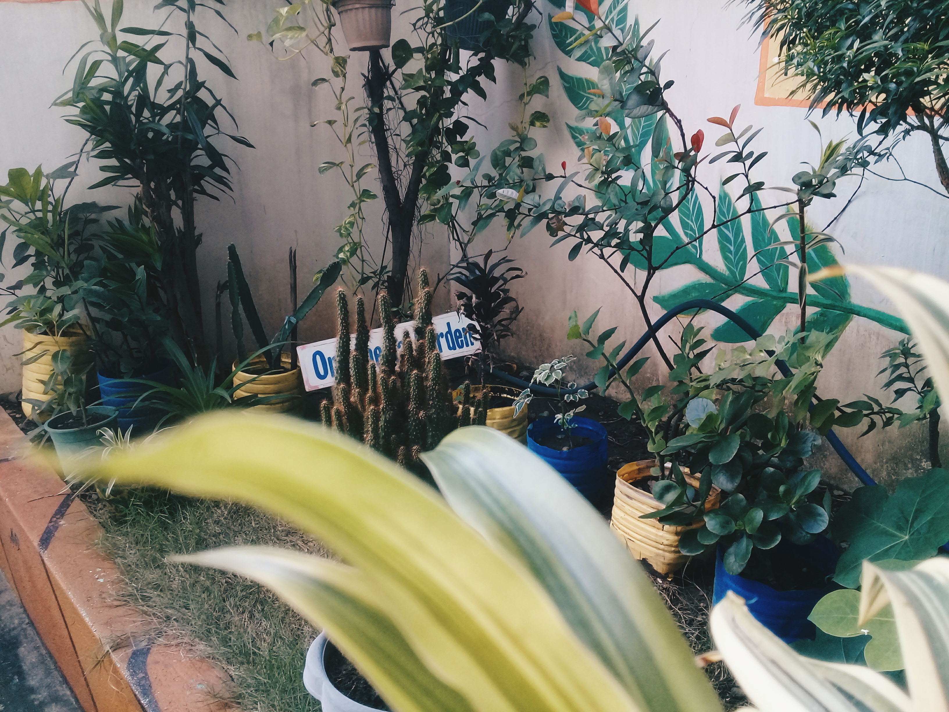 2018-07-01 08.18.49 1.jpg