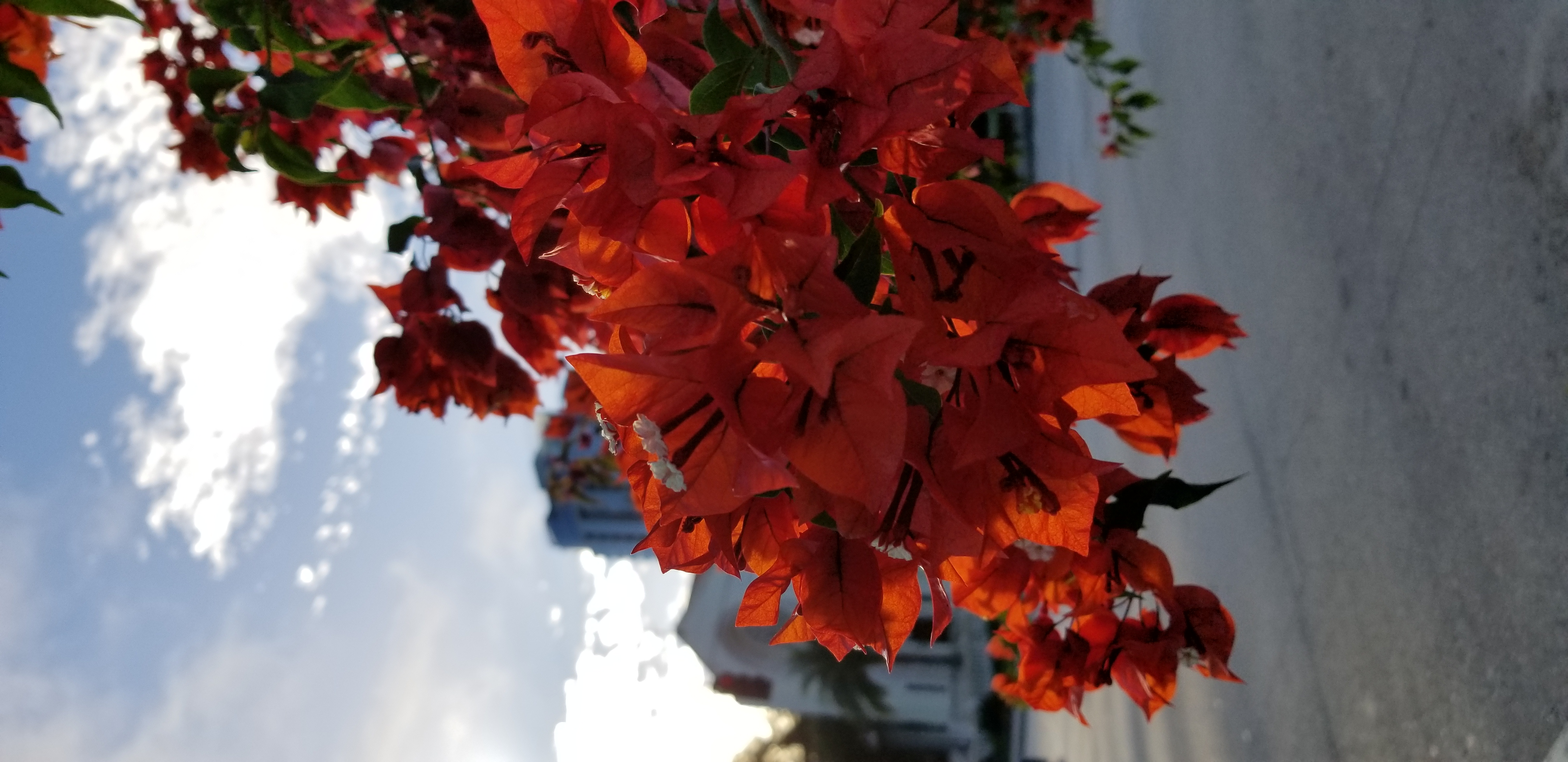 20181115_081147.jpg